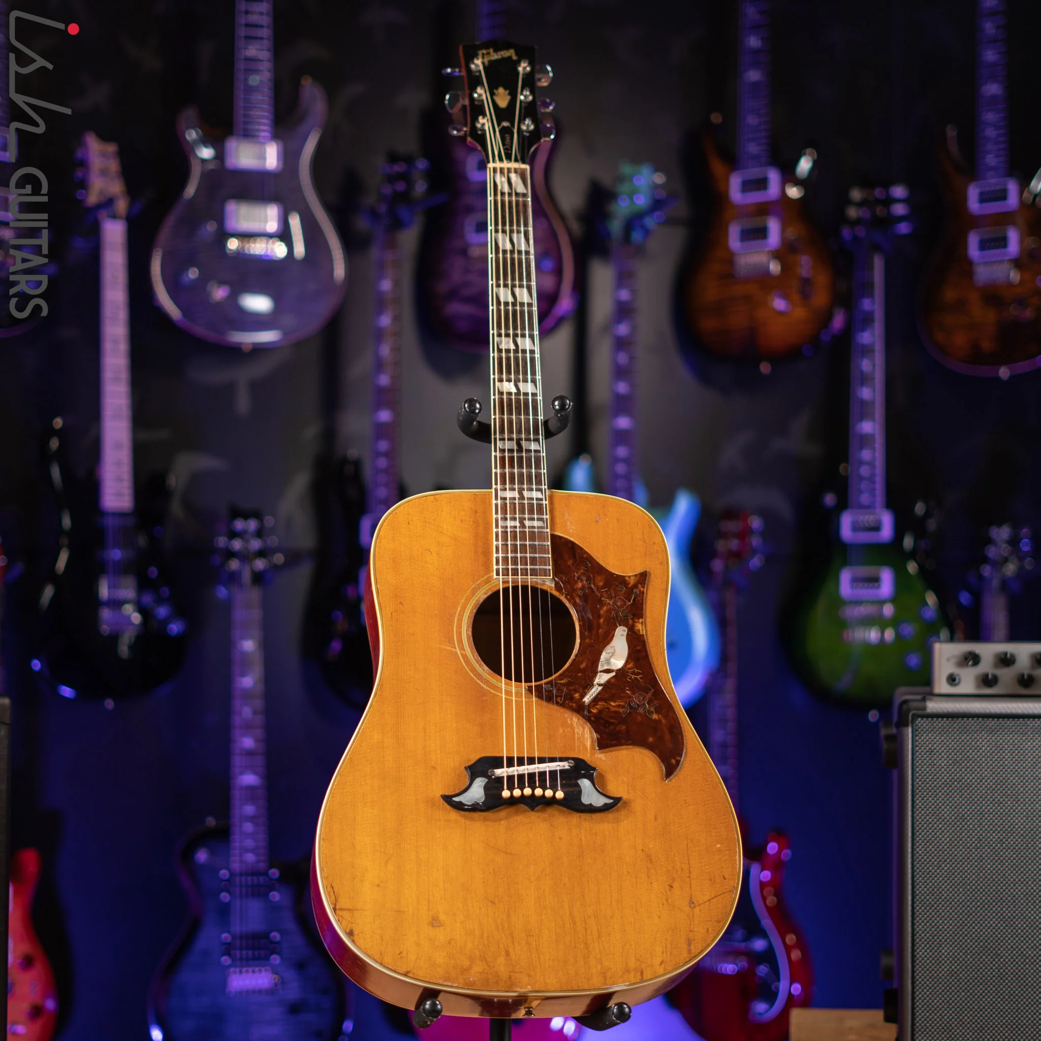 1970-1972 Gibson Dove Natural - Image 2