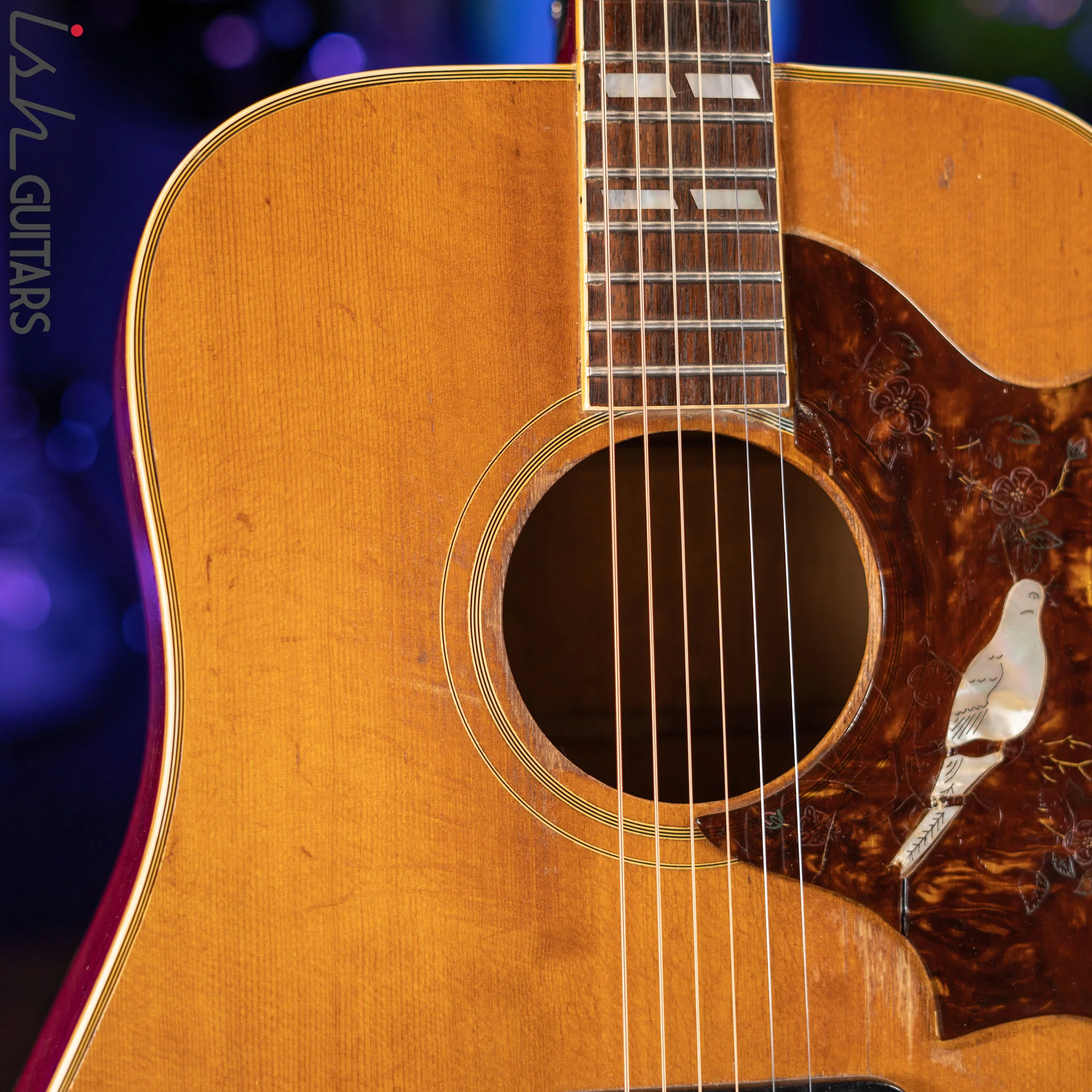 1970-1972 Gibson Dove Natural - Image 3