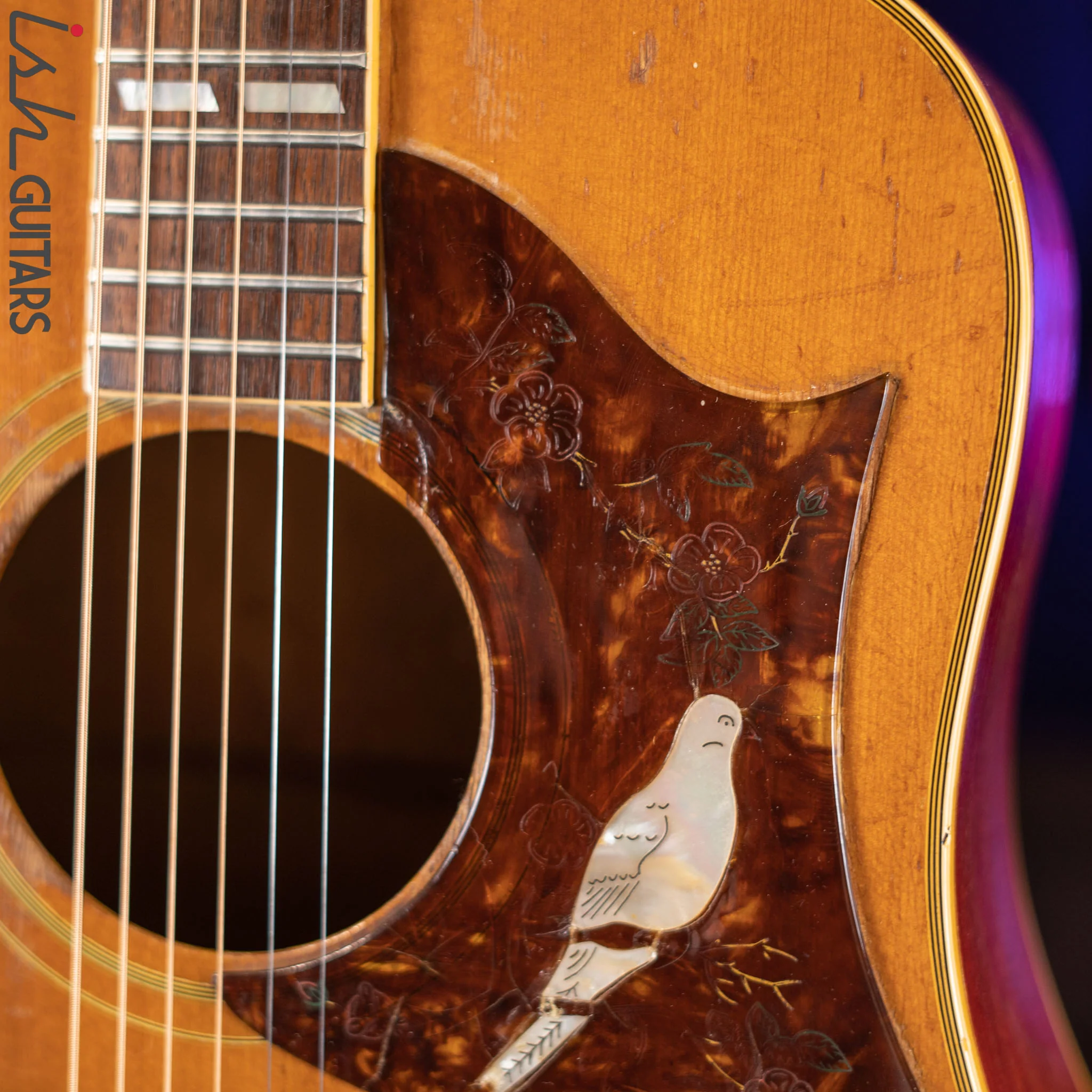 1970-1972 Gibson Dove Natural - Image 5