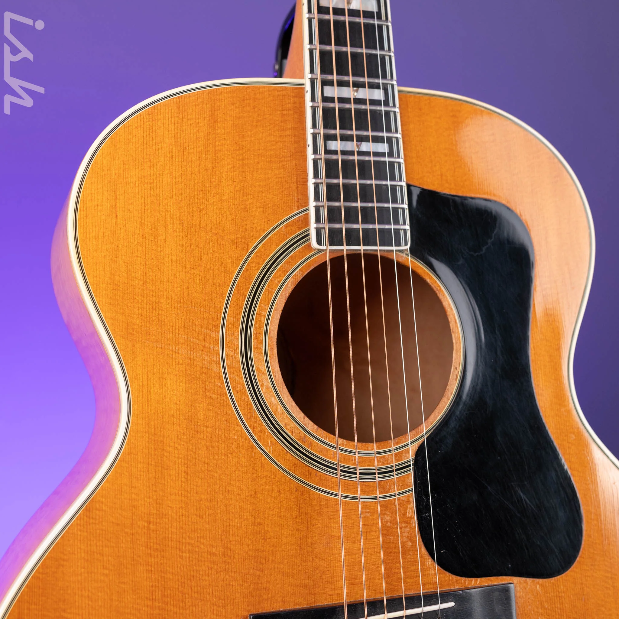 1975 Guild F-50 Natural - Image 4