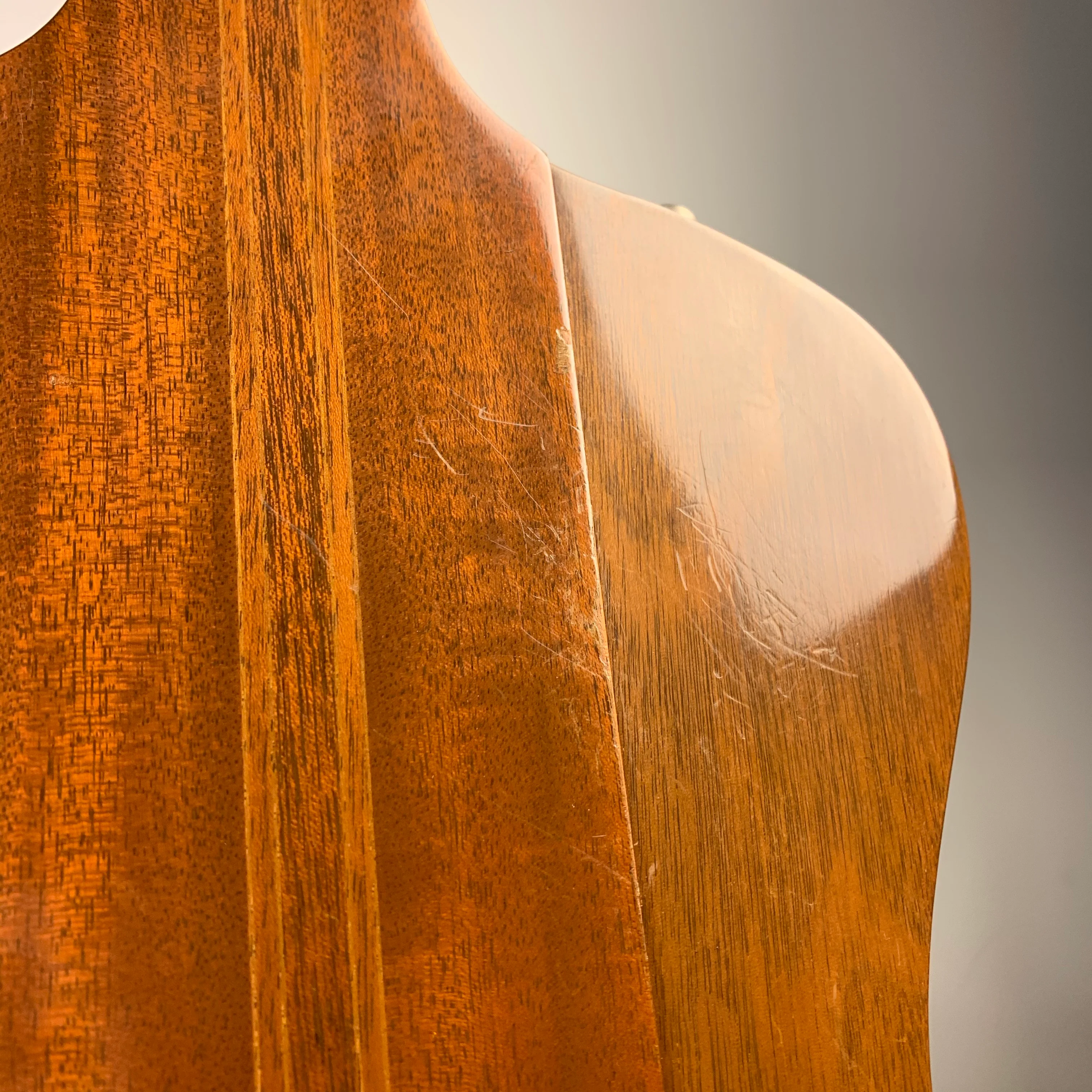 1976 Gibson Thunderbird Sunburst - Image 19