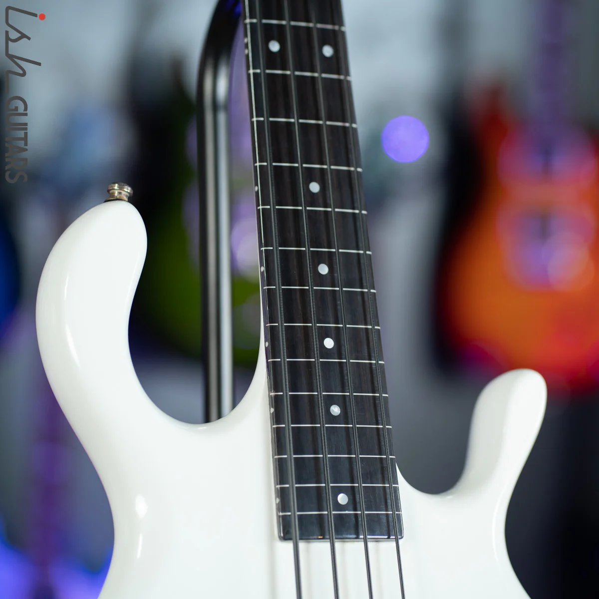 1980s/1990s Pedulla Buzz 4 Fretless Bass White Gloss - Image 5