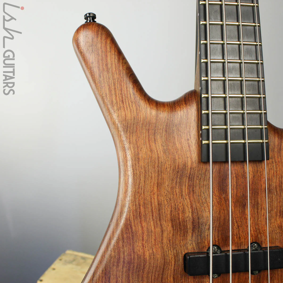 2001 Warwick Thumb Limited Edition Guitar Center 37th Anniv Natural Oil w/ Mono Gigbag - Image 3