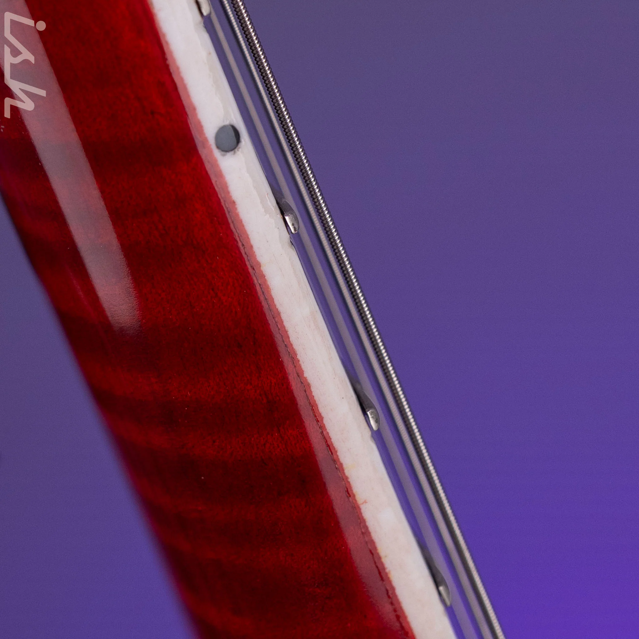 2010 Insalaco Archtop Cherry Burst - Image 25
