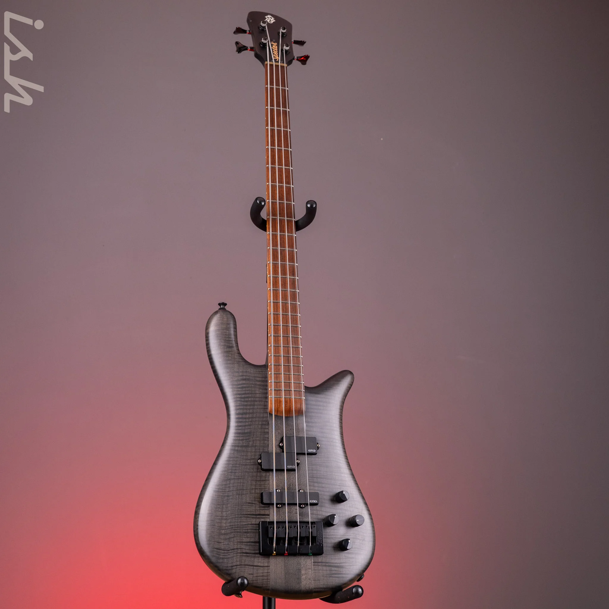 2011 Spector Forte 4 Matte Black Satin - Image 2