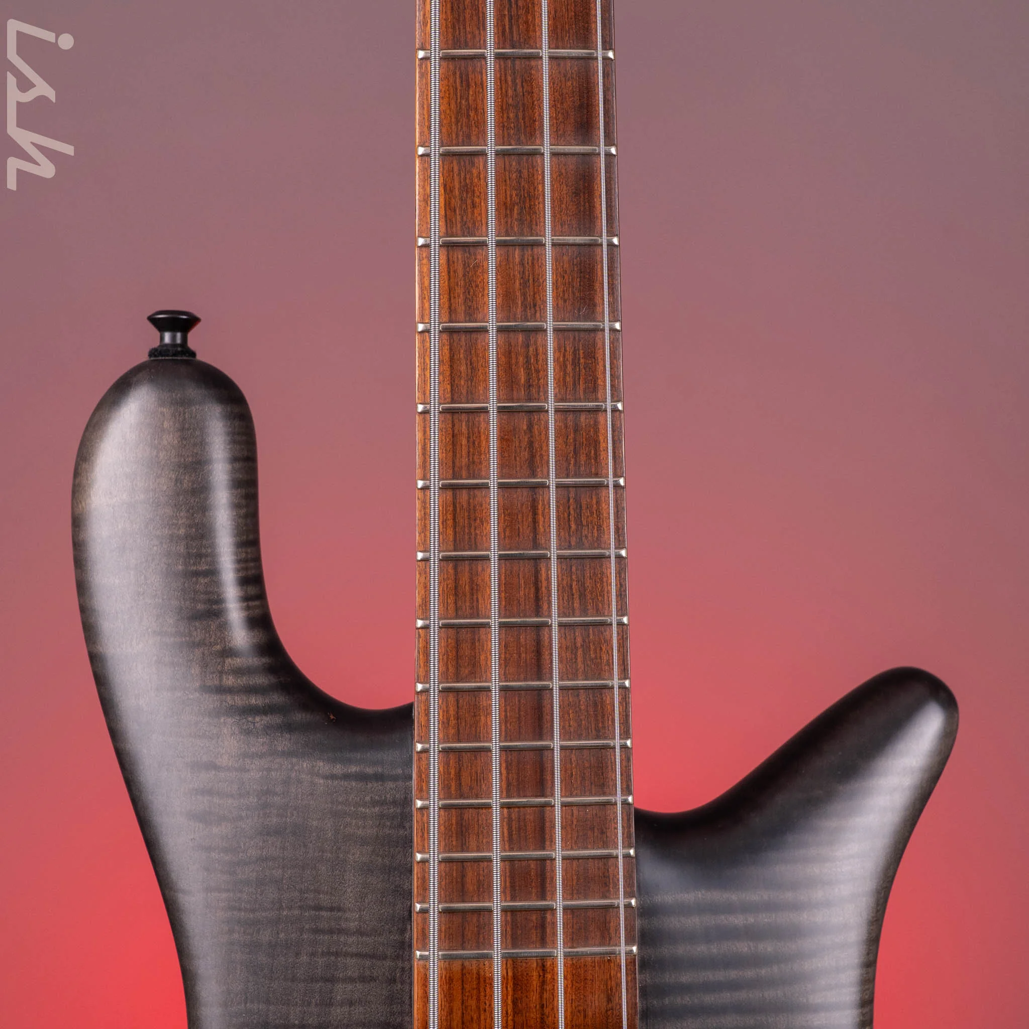 2011 Spector Forte 4 Matte Black Satin - Image 6