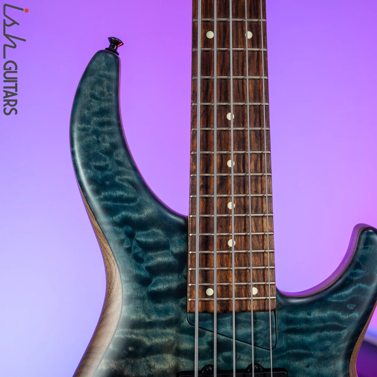 2018/2019 USA MTD Saratoga 5 String Bass Guitar - Image 3