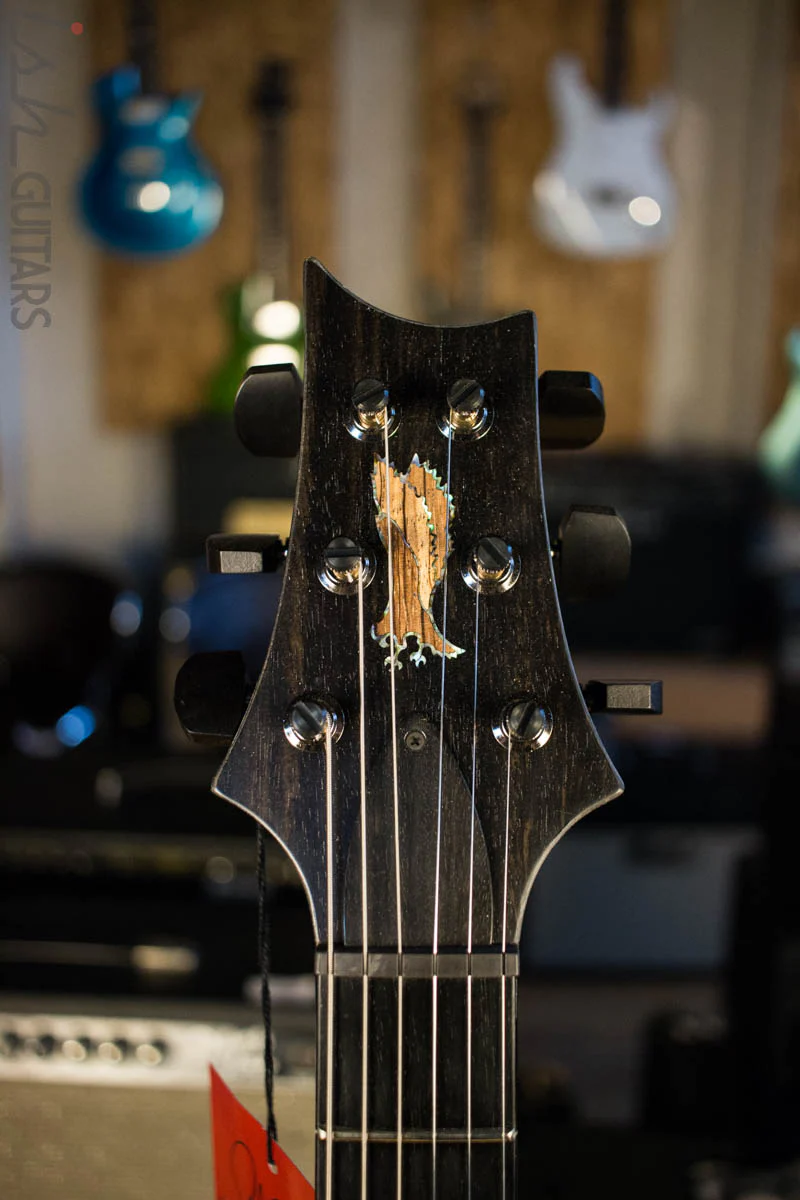2018 PRS Experience Private Stock Custom 24 Zebrawood 305 Pickup (DEMO VIDEO) - Image 6