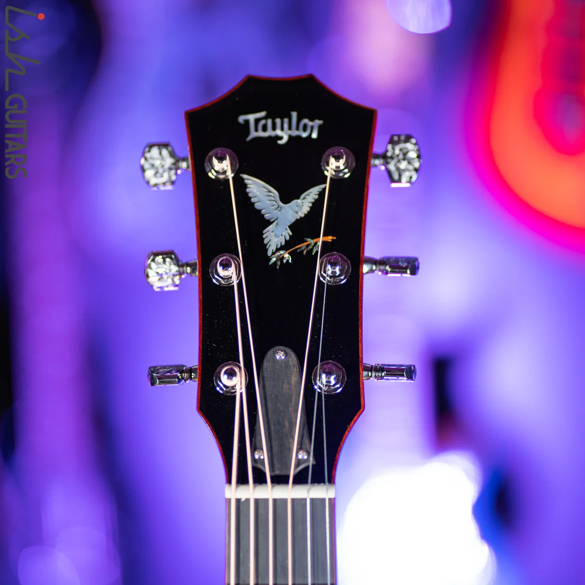 2019 Taylor Custom Grand Symphony Catch Walnut Bloodwood - Image 8