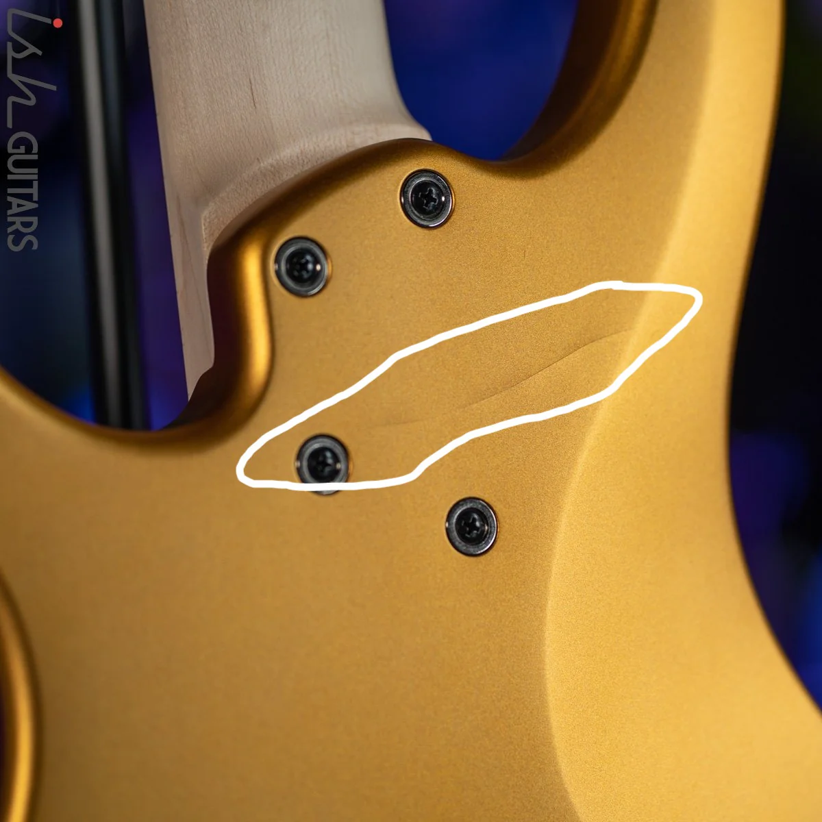 2021 Dingwall NG-3 5-String Bass Metallic Gold Matte B-Stock - Image 8