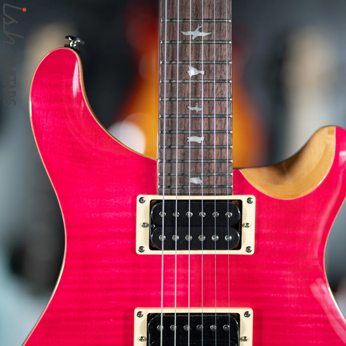 PRS SE Custom 24 Bonnie Pink Demo - Image 3