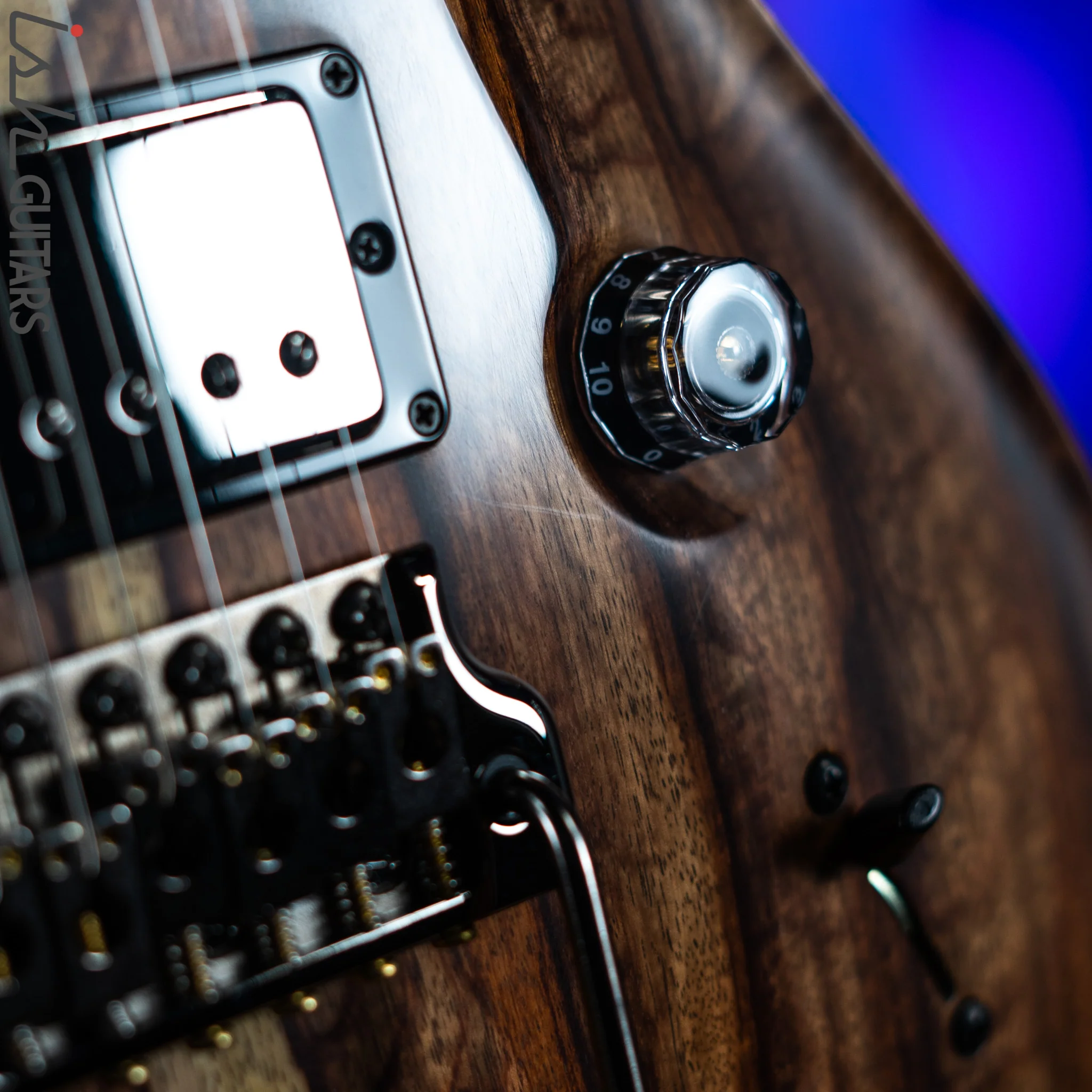 2021 PRS Custom 24 Semi-Hollow Private Natural Hormigo - Image 5