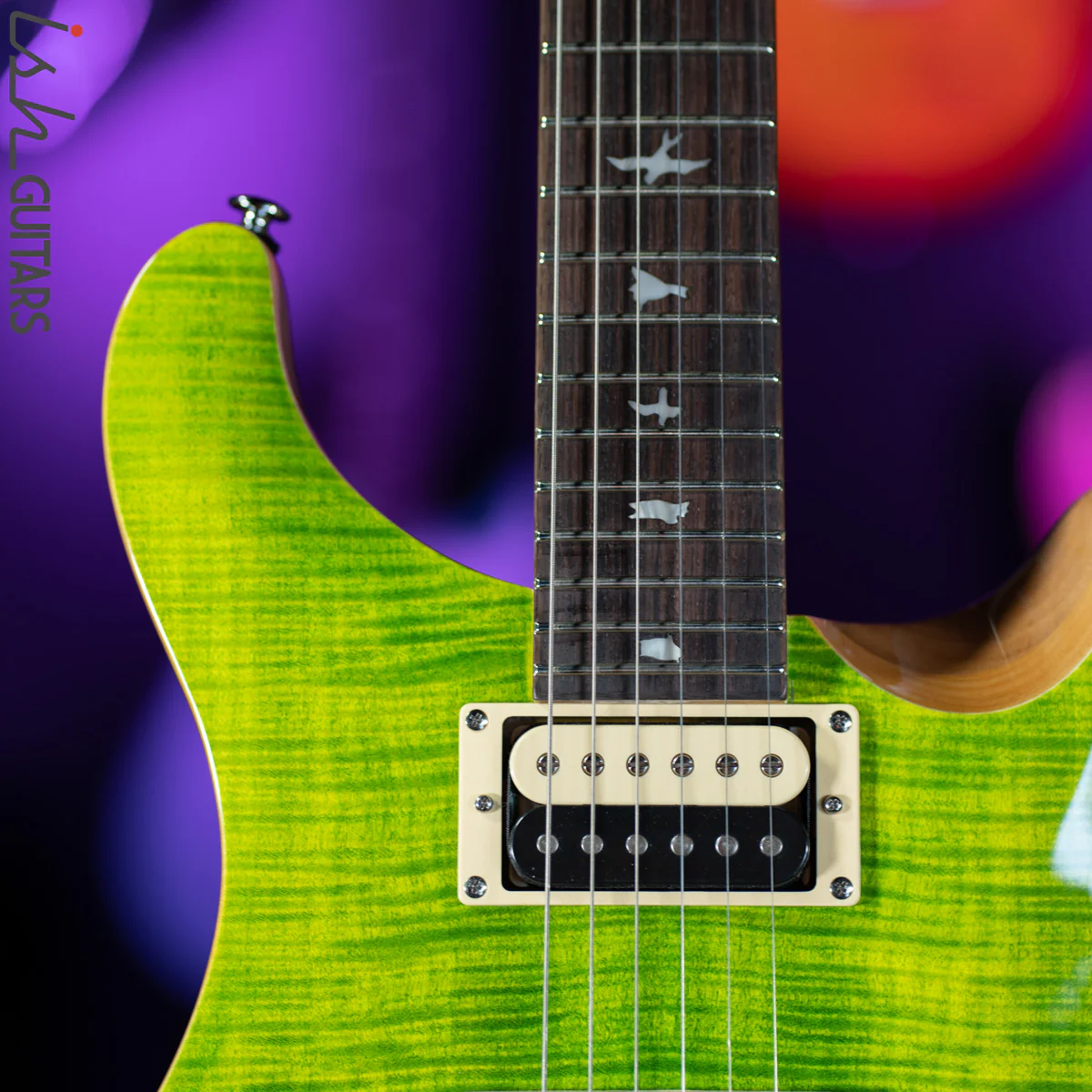 PRS SE Custom 24-08 Eriza Verde - Image 6