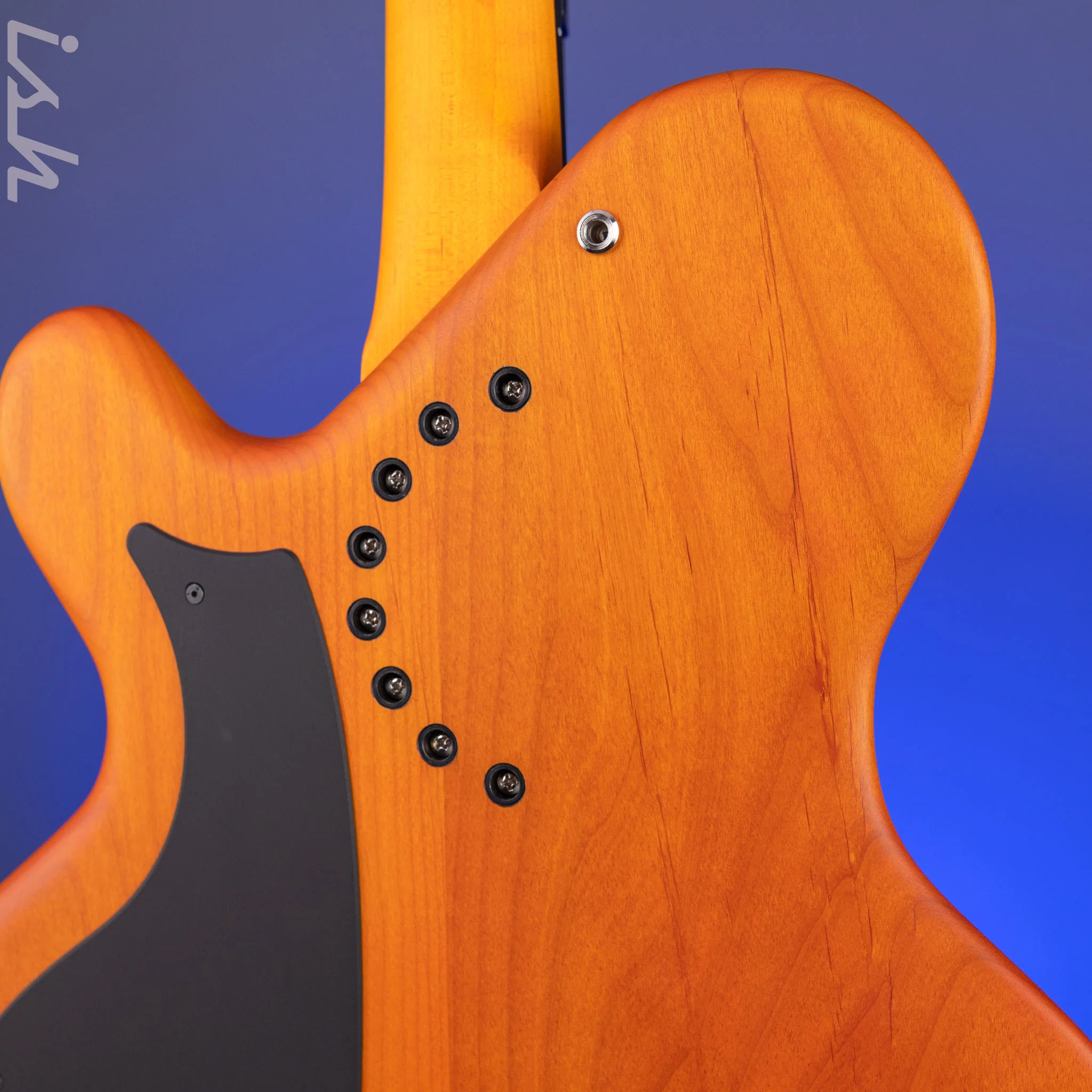2021 Ritter Princess Isabella Bass Orange Honey - Image 9