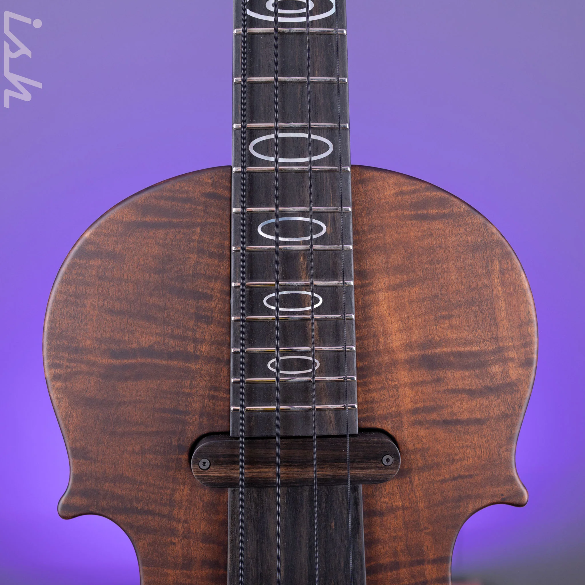 2021 Ritter Violin Bass Vintage Antonio - Image 7