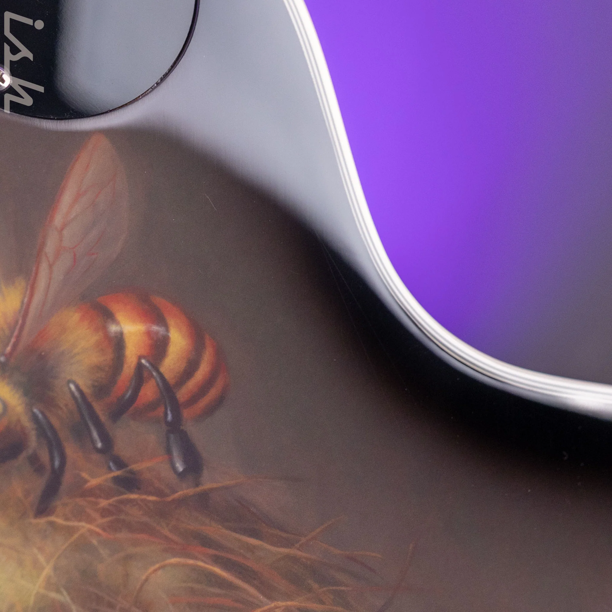 2023 Epiphone Les Paul Adam Jones Signature Queen Bee - Image 15