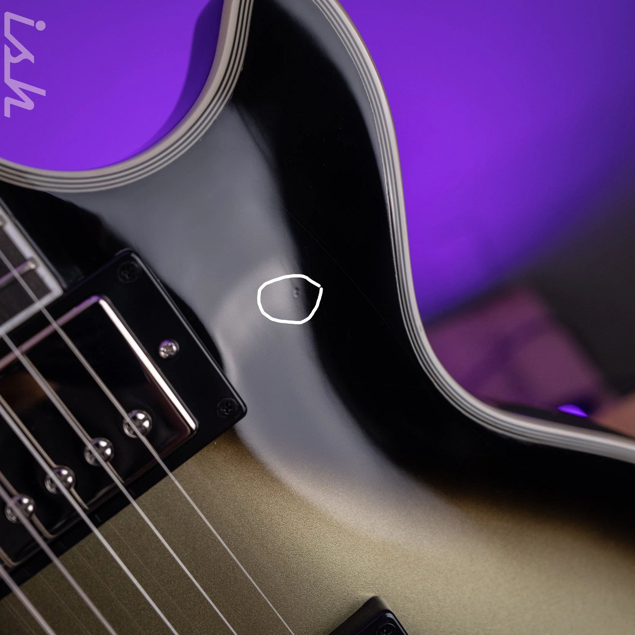 2023 Epiphone Les Paul Adam Jones Signature Queen Bee - Image 8
