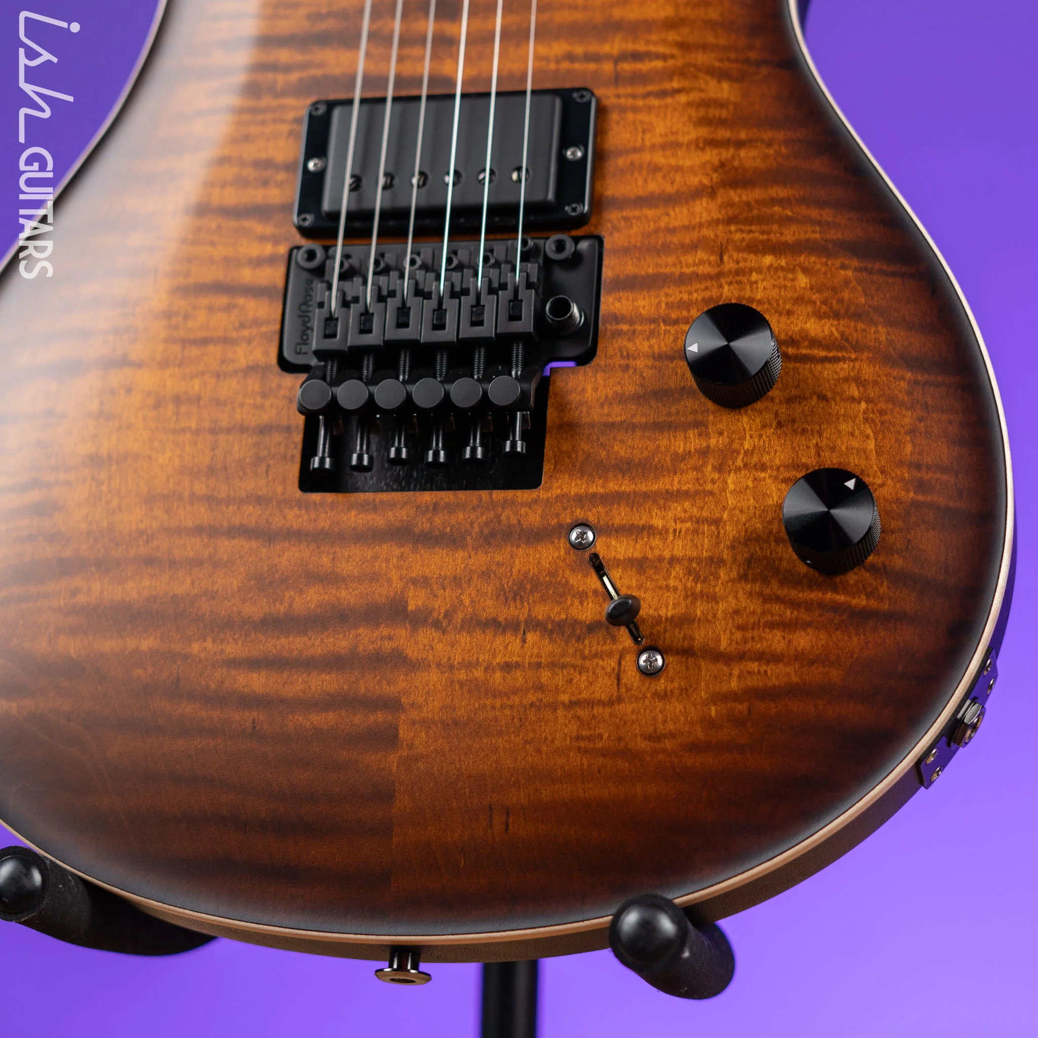 PRS Dustie Waring Signature CE 24 Floyd Amber Smokeburst Satin Nitro - Image 4