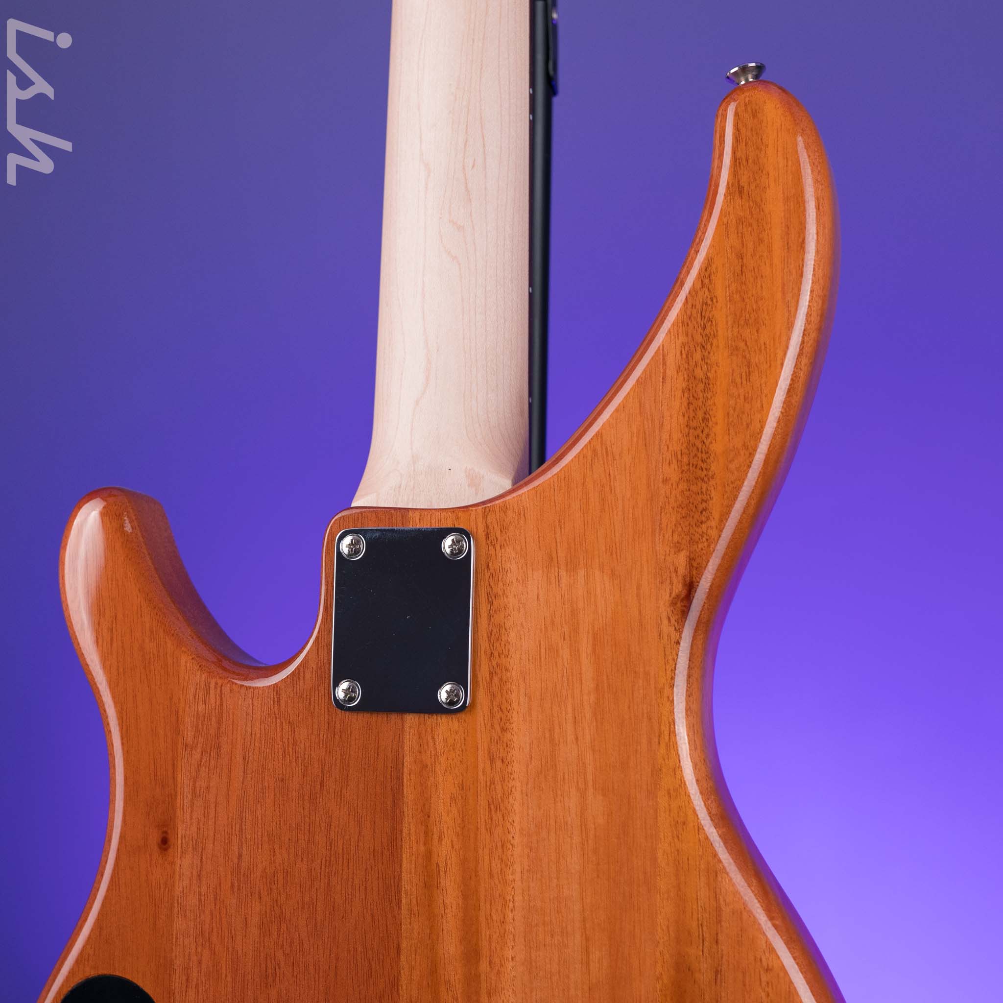 2023 Yamaha TRBX174EW Natural Mango Wood - Image 11
