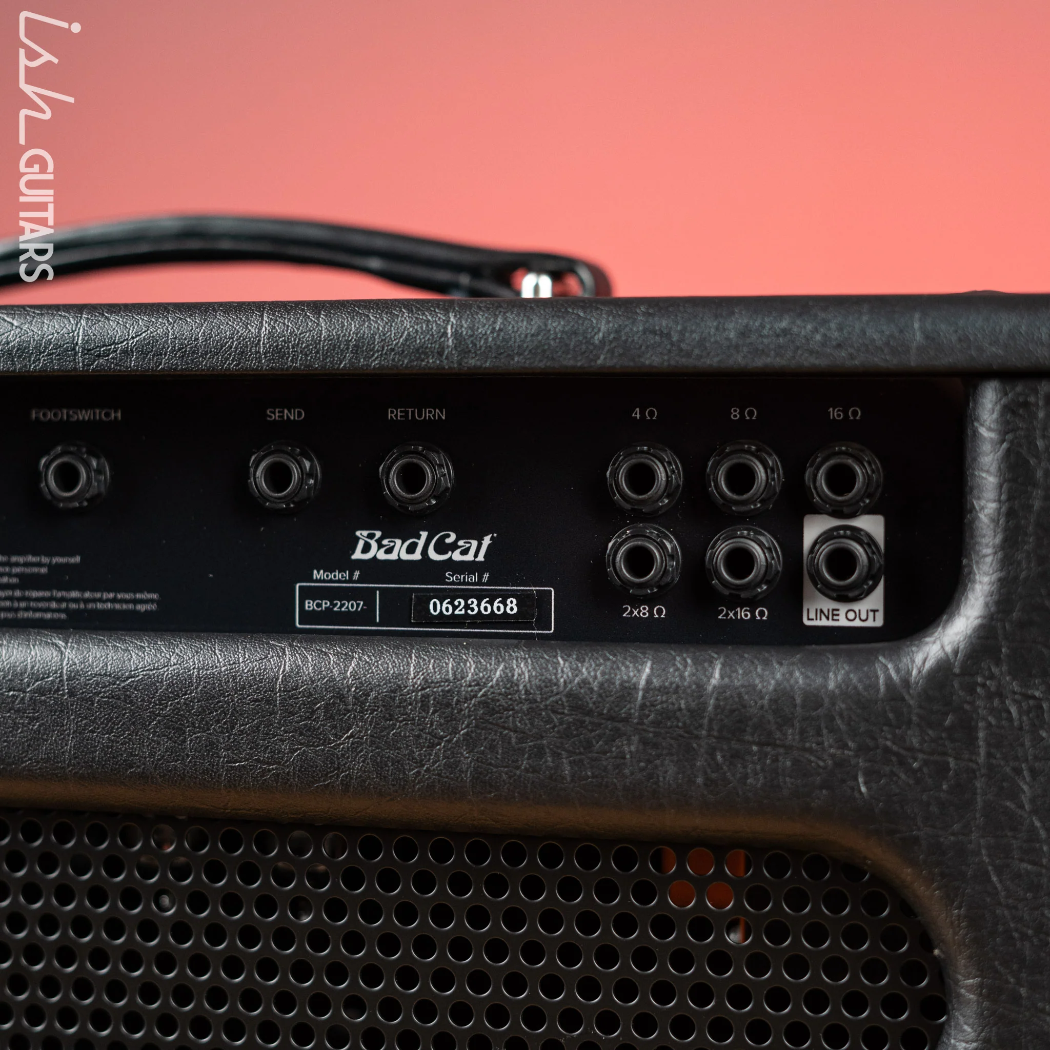 Bad Cat Black Cat 20W Guitar Amplifier Head Demo - Image 7