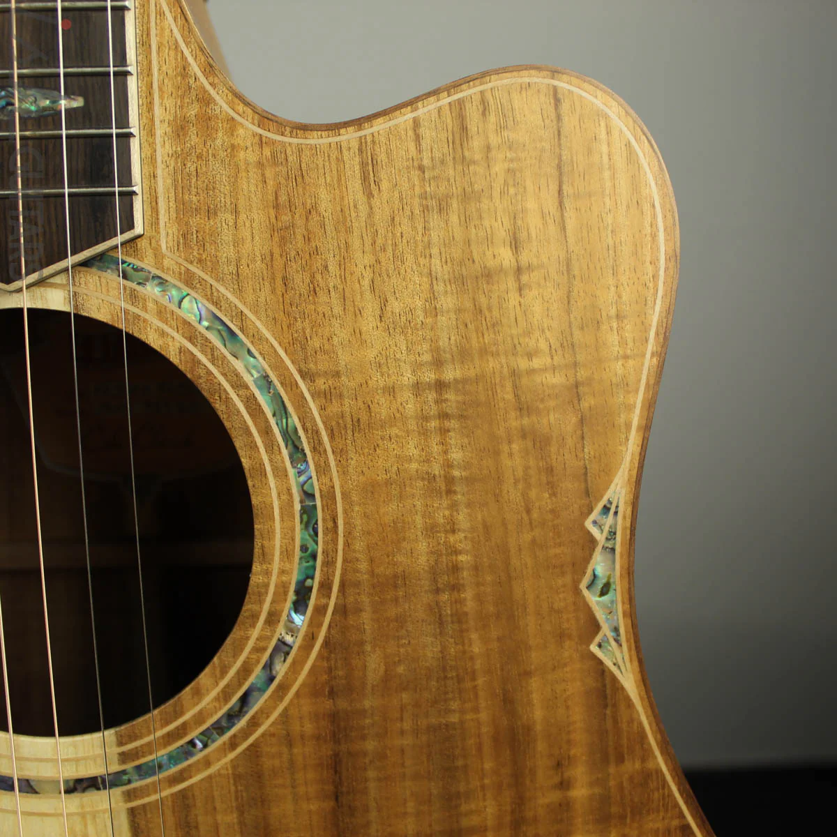 Cole Clark Fat Lady FL3EC-BLBL Blackwood/Blackwood - Image 4