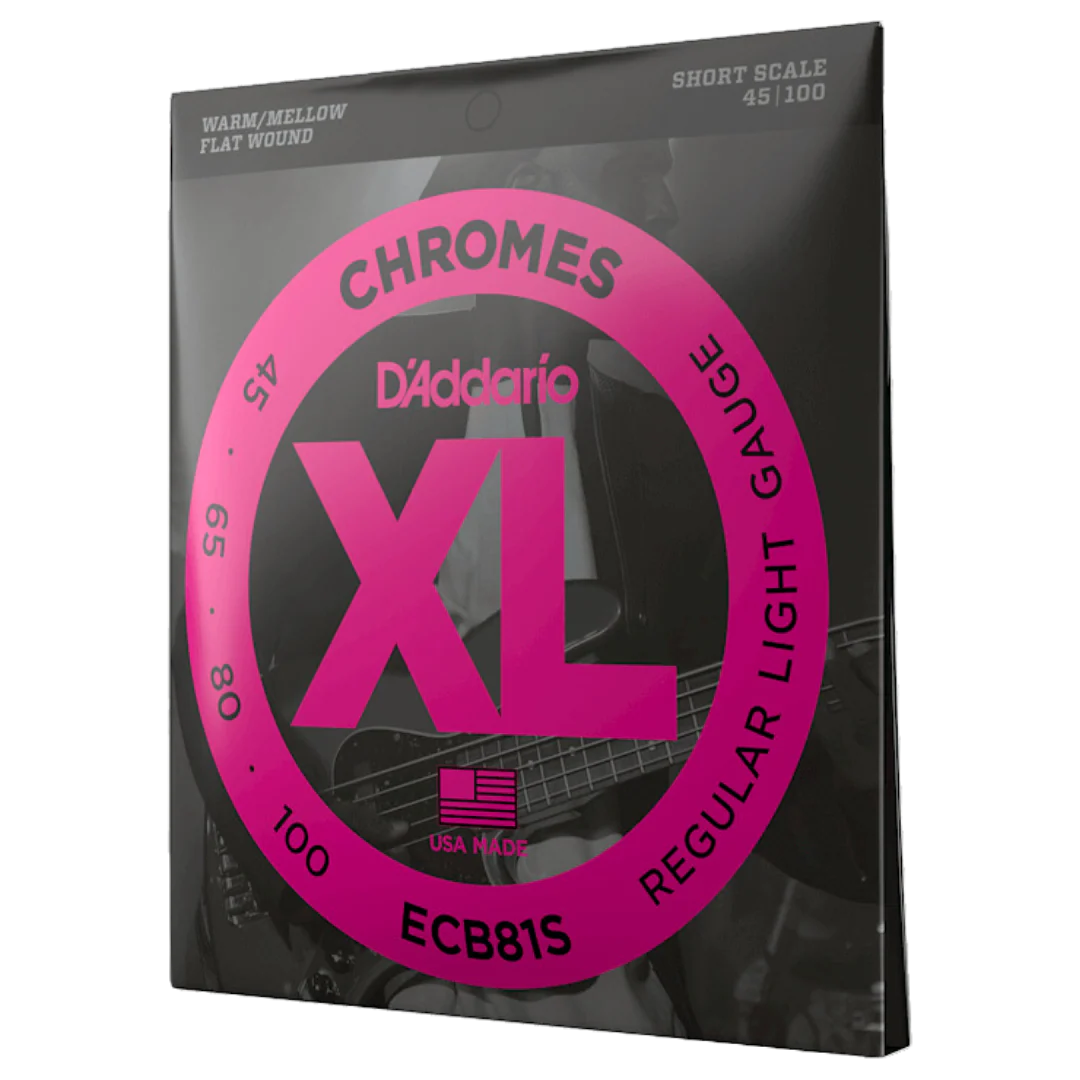 D’Addario ECB81S Regular Light 45-100 Flat Wound Bass Strings Short Scale