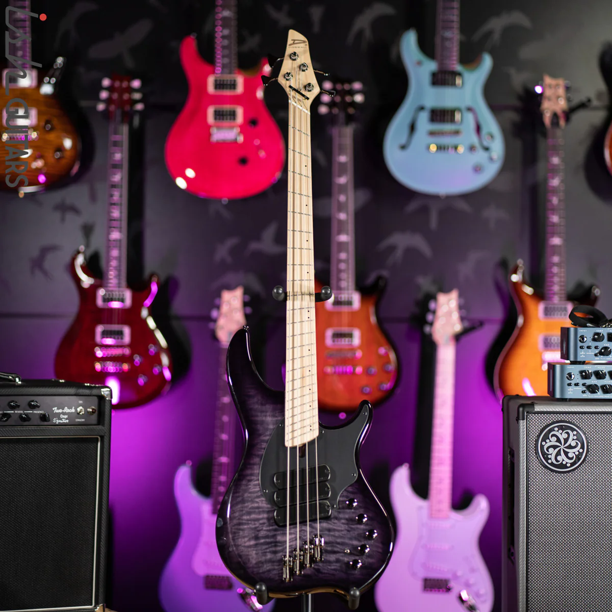 Dingwall Combustion 10th Anniversary 3 PUP 4-String Amethyst Burst - Image 2