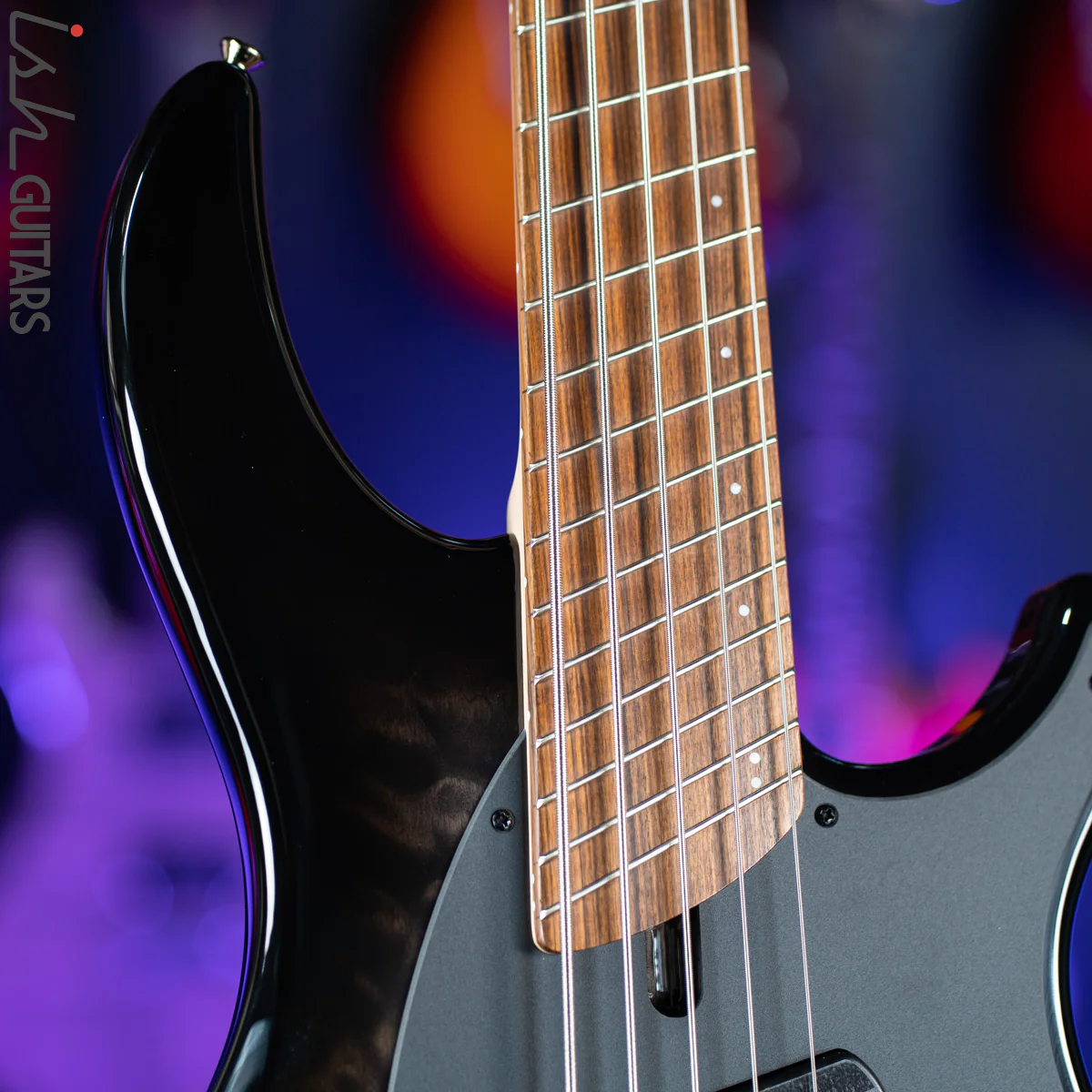 Dingwall Combustion 5 String Bass 2-Tone Blackburst - Image 3