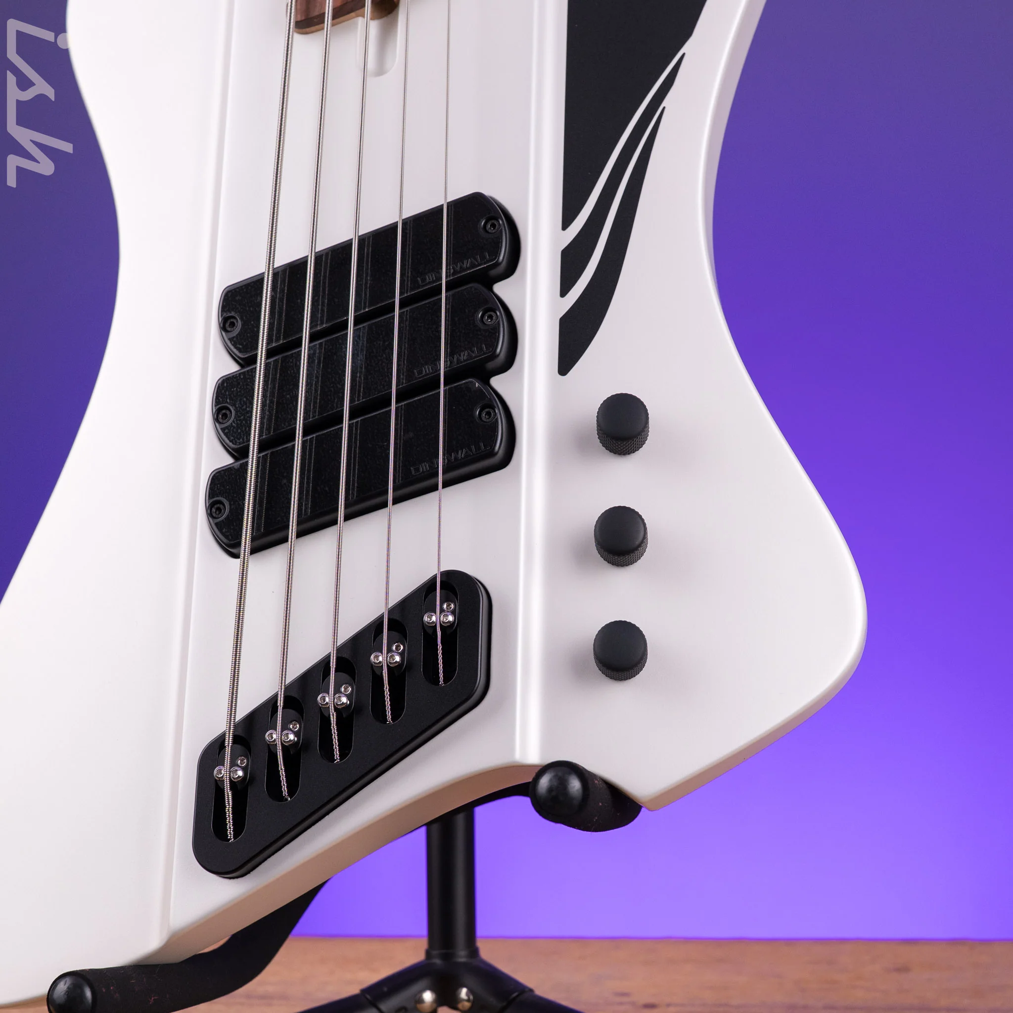 Dingwall D-Roc Standard 5-String Bass Ducati Pearl White - Image 5