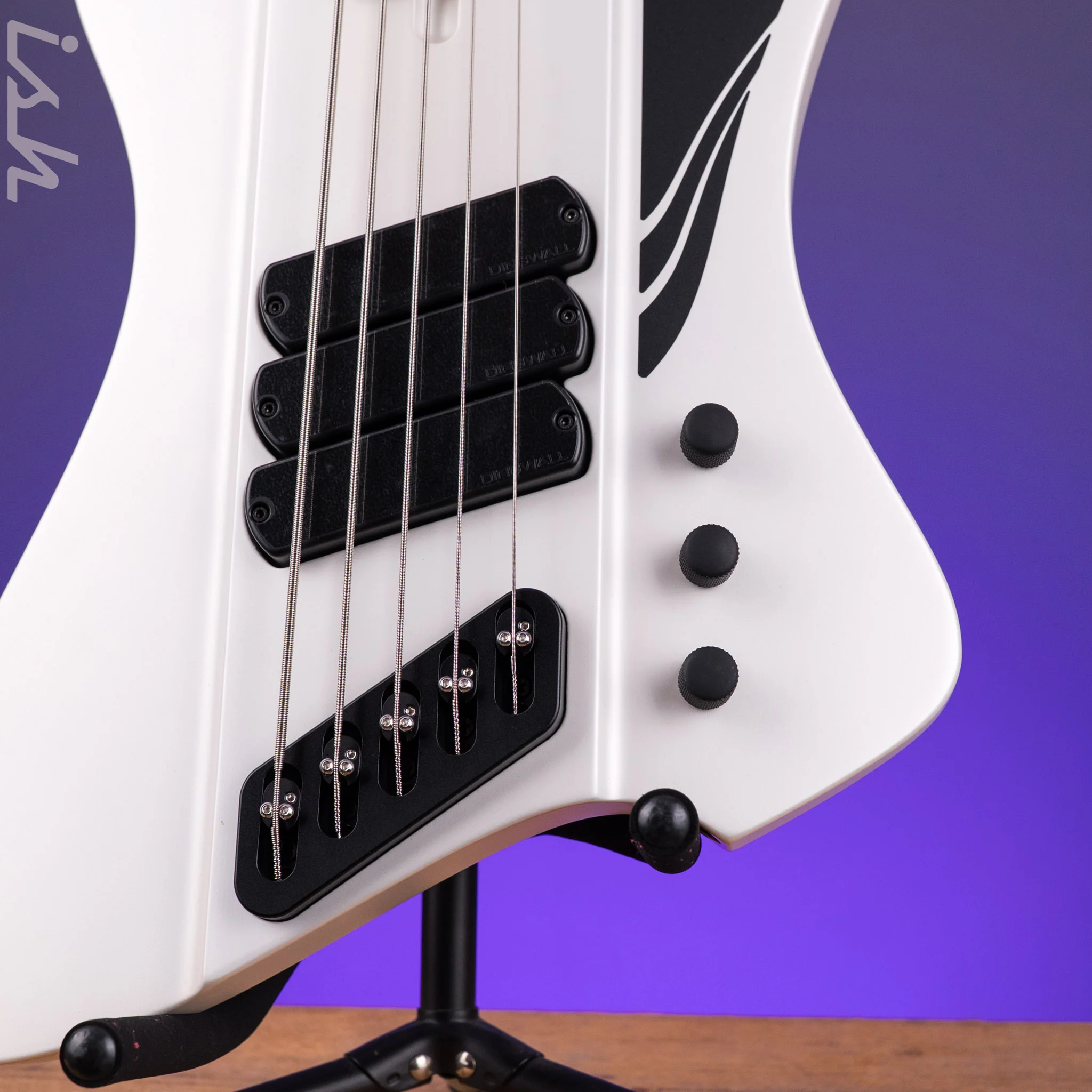 Dingwall D-Roc Standard 5-String Bass Ducati Pearl White - Image 5