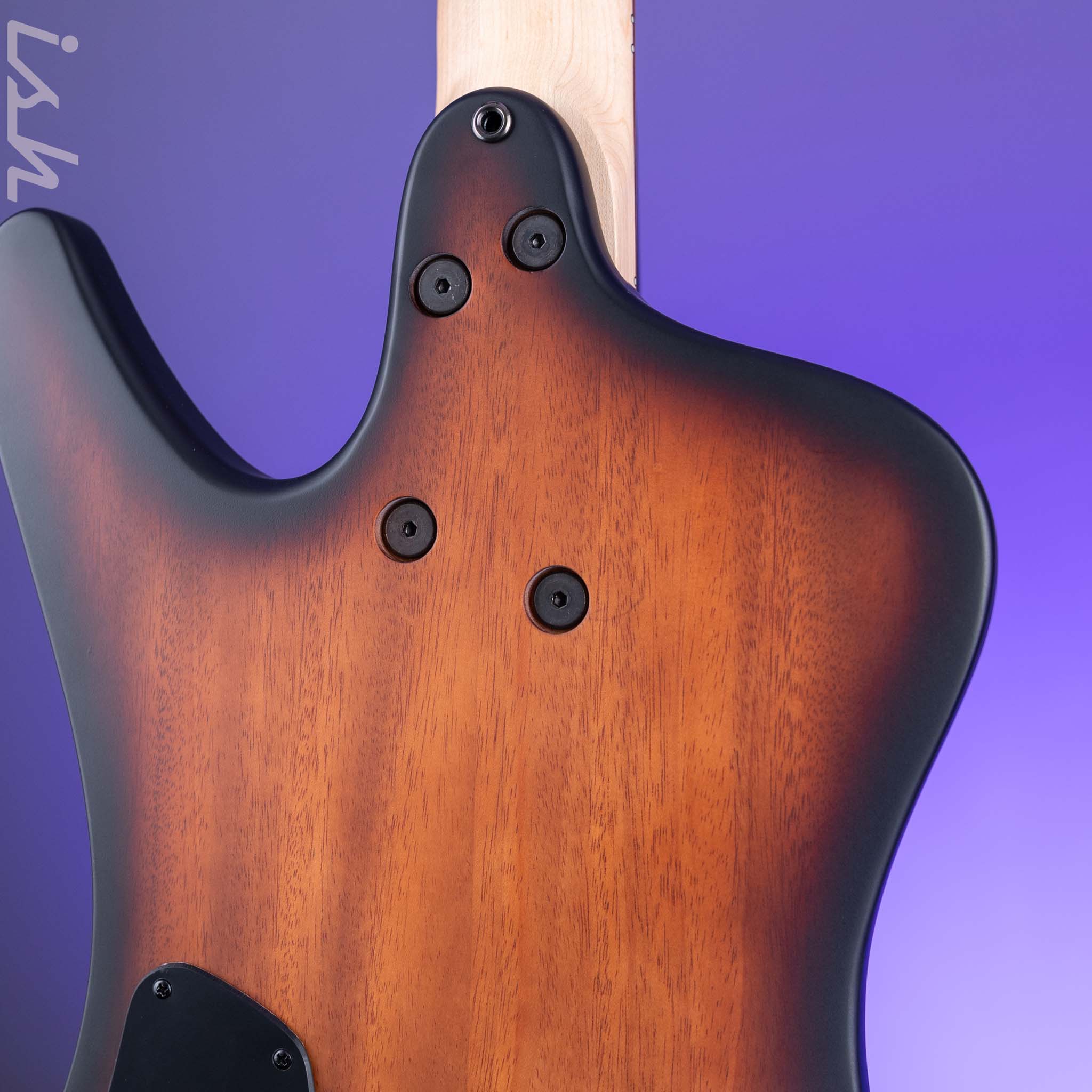 Dingwall D-Roc Standard 5-String Bass Matte Vintageburst - Image 8