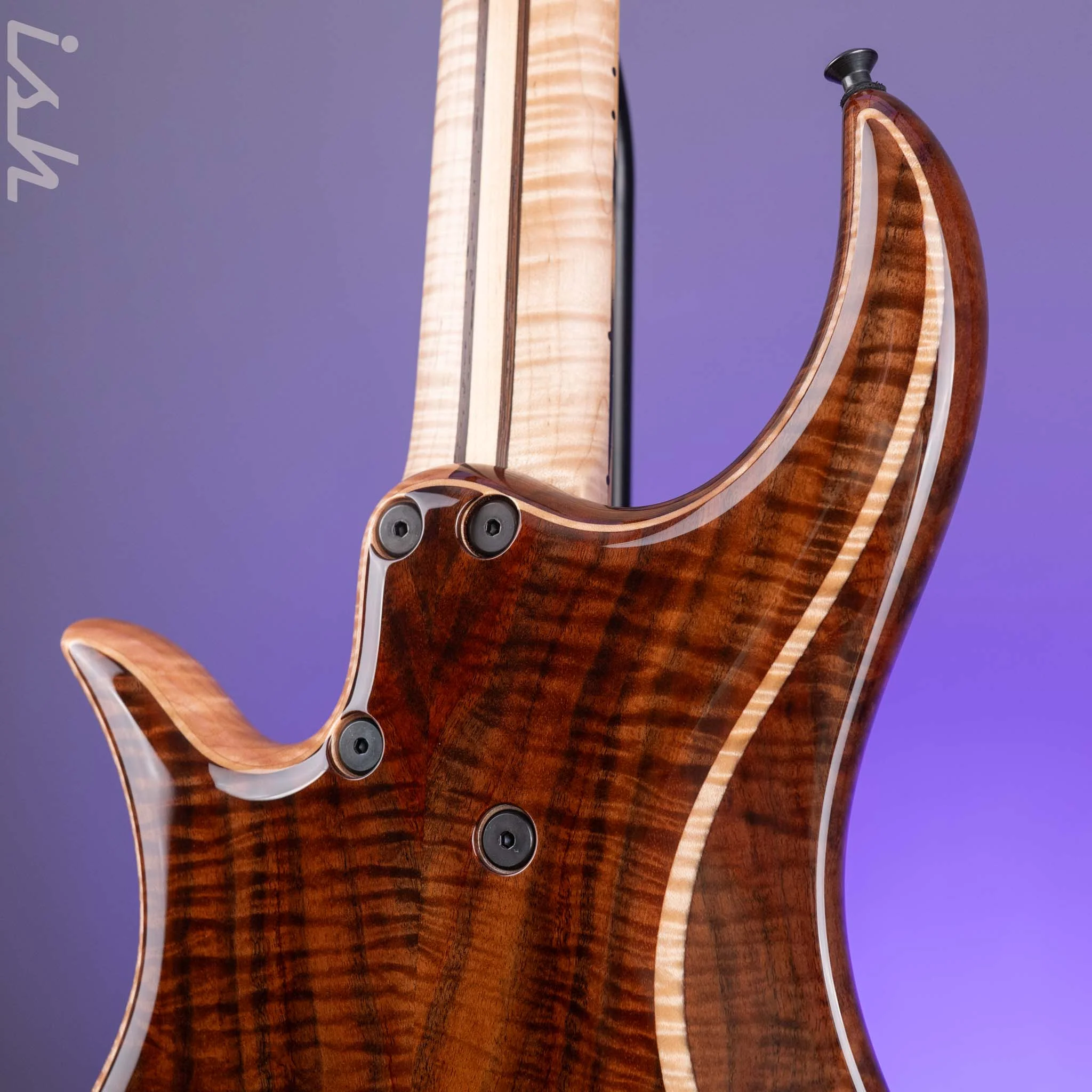 Dingwall Prima Artist Custom Shop 5-String Bass - Image 11