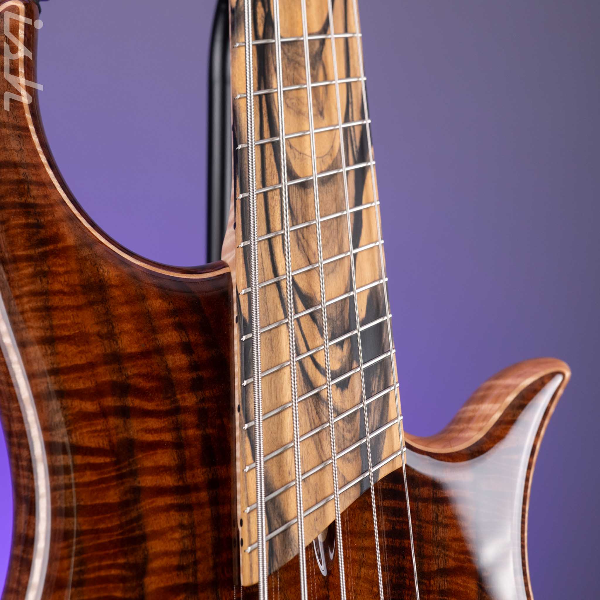 Dingwall Prima Artist Custom Shop 5-String Bass - Image 4