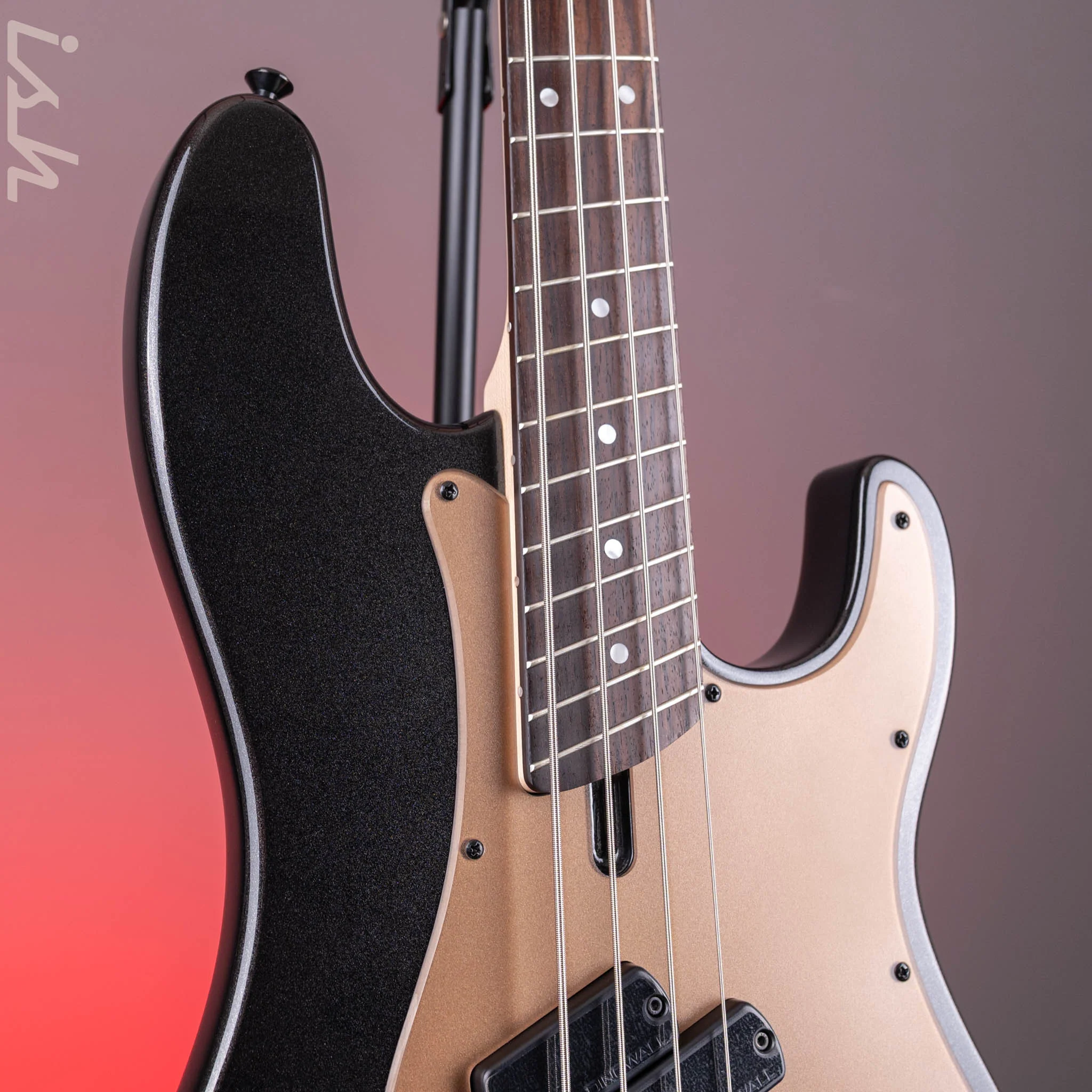 Dingwall SP1 4-String Bass Gloss Metallic Black B-STOCK - Image 4
