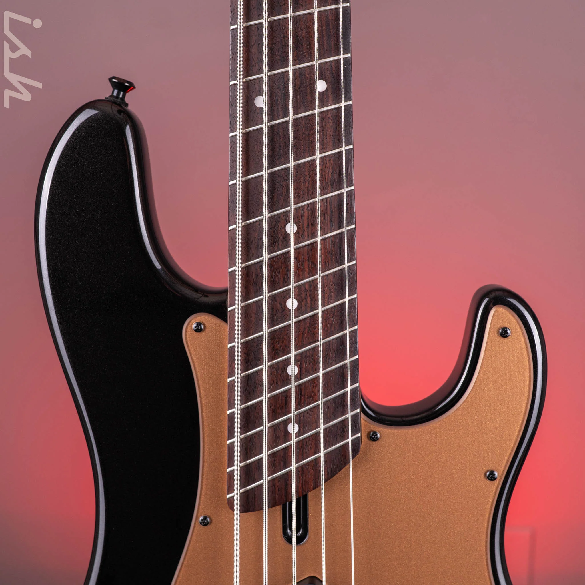 Dingwall SP1 5-String Bass Gloss Metallic Black - Image 6