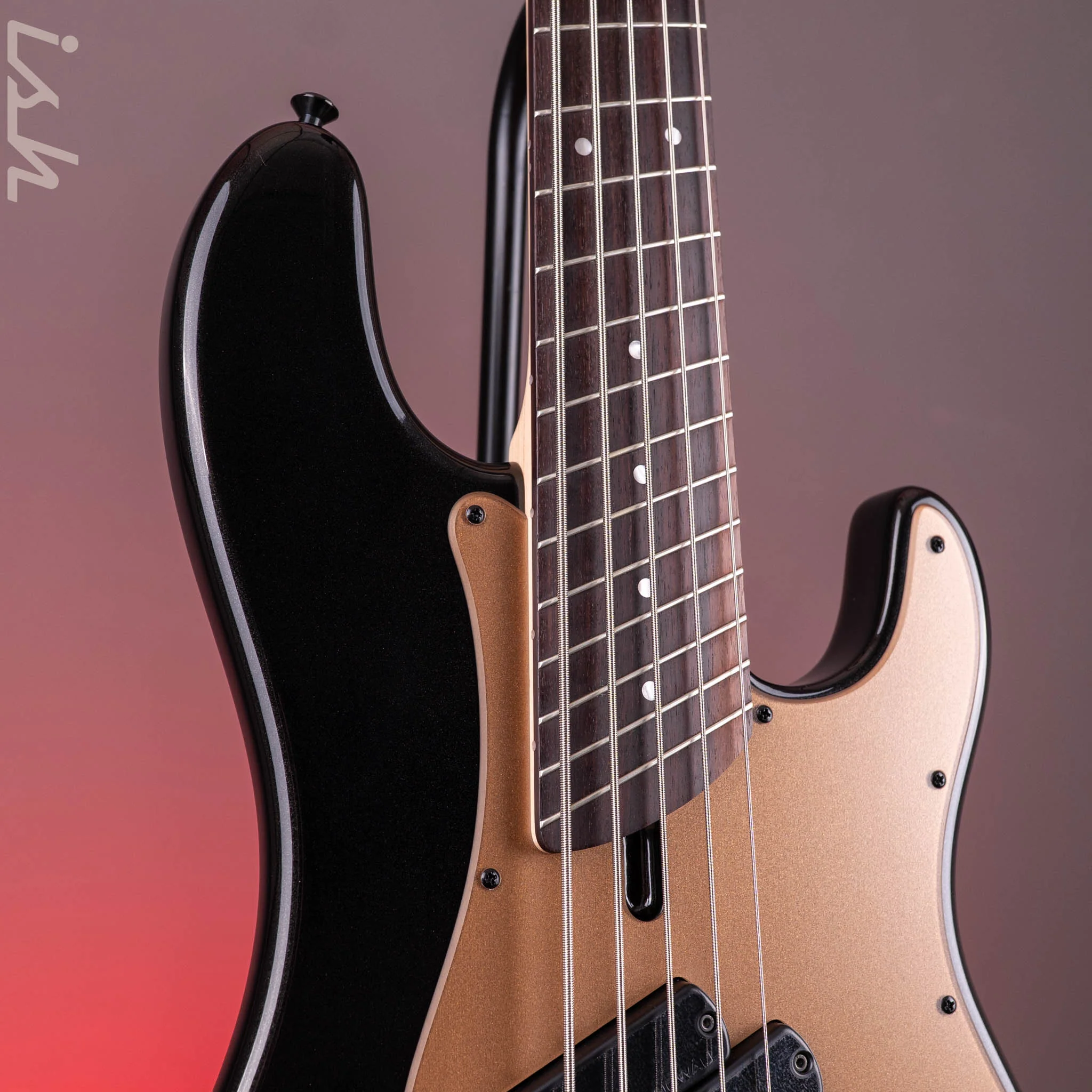 Dingwall SP1 5-String Bass Gloss Metallic Black - Image 4
