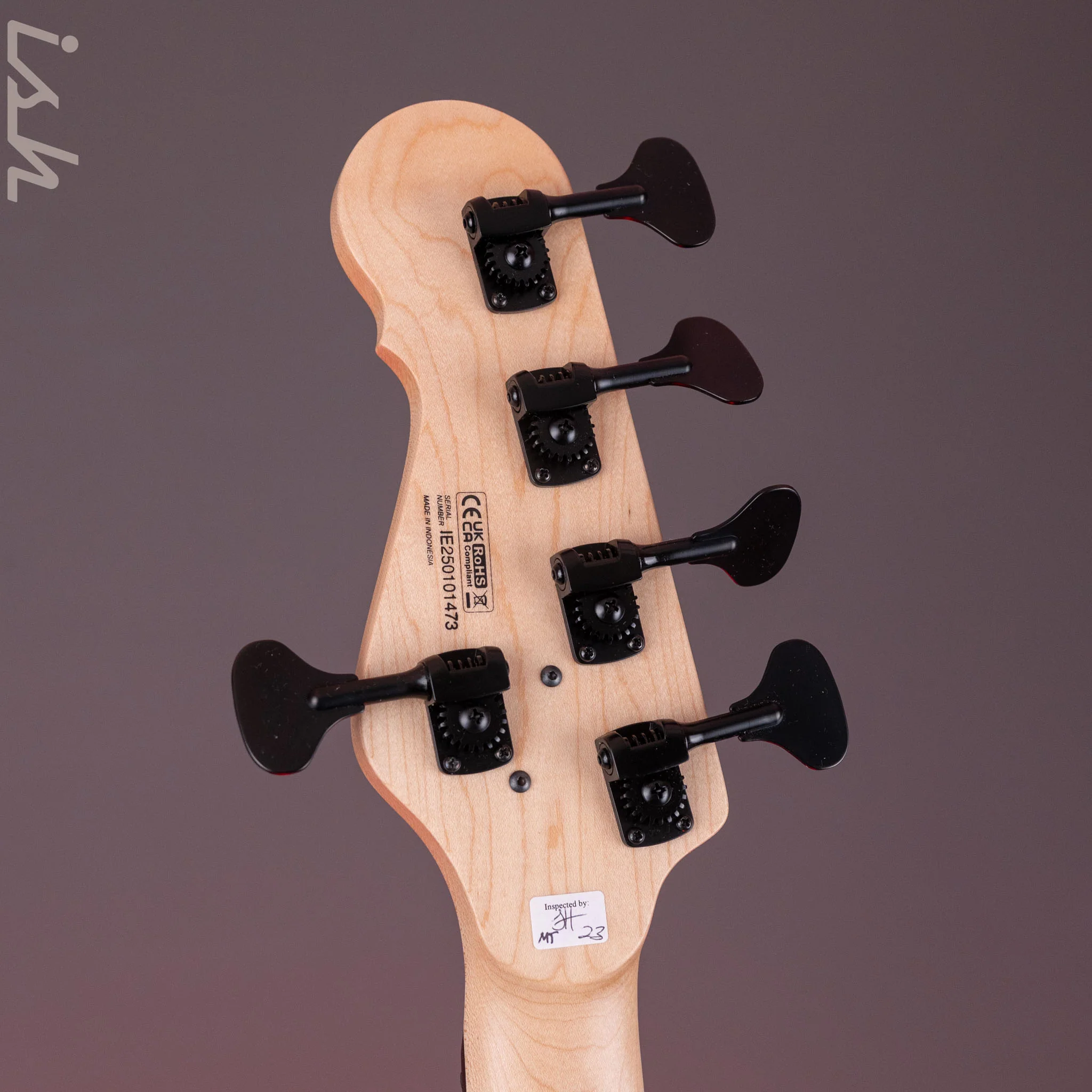 Dingwall SP1 5-String Bass Matte Ducati Pearl White - Image 10