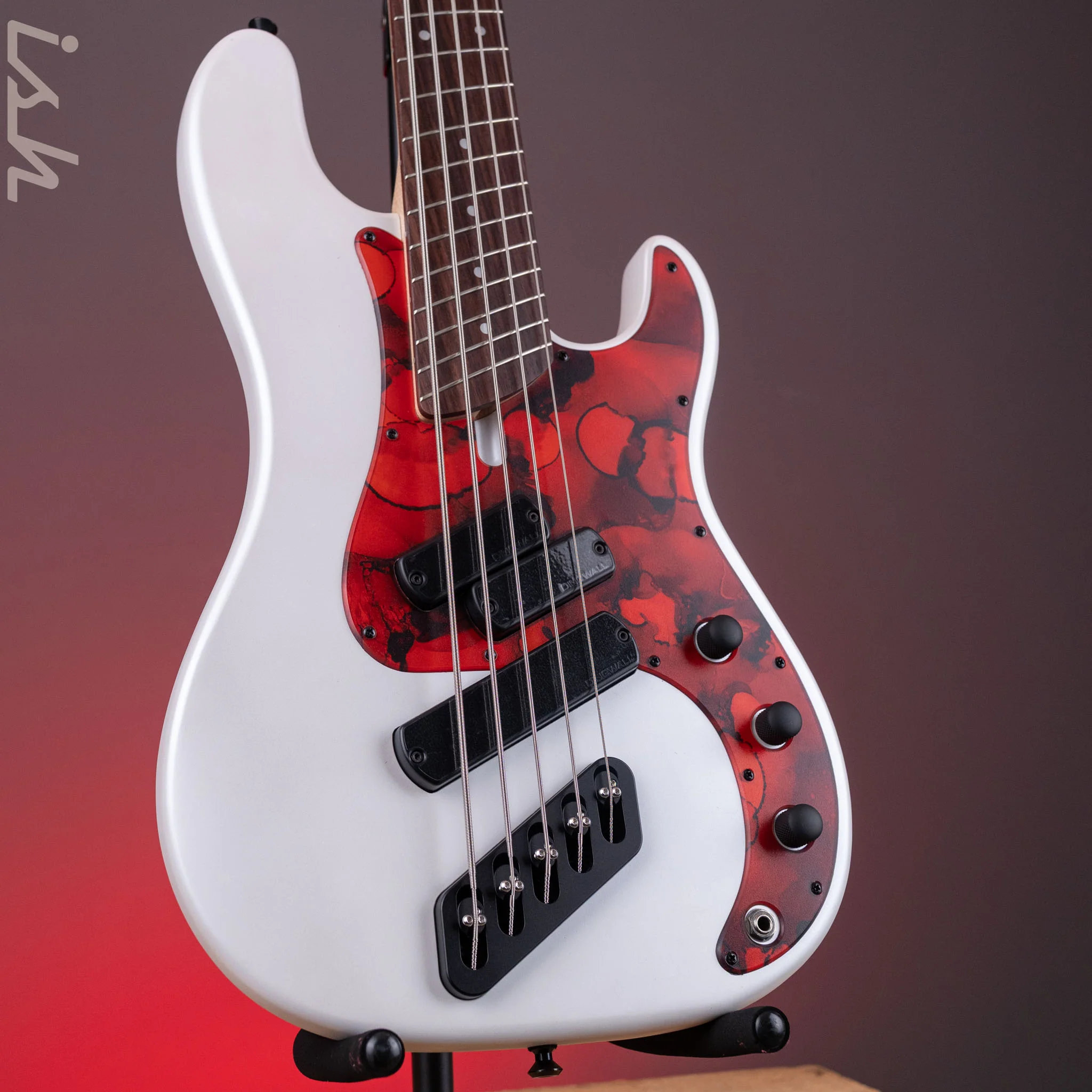 Dingwall SP1 5-String Bass Matte Ducati Pearl White