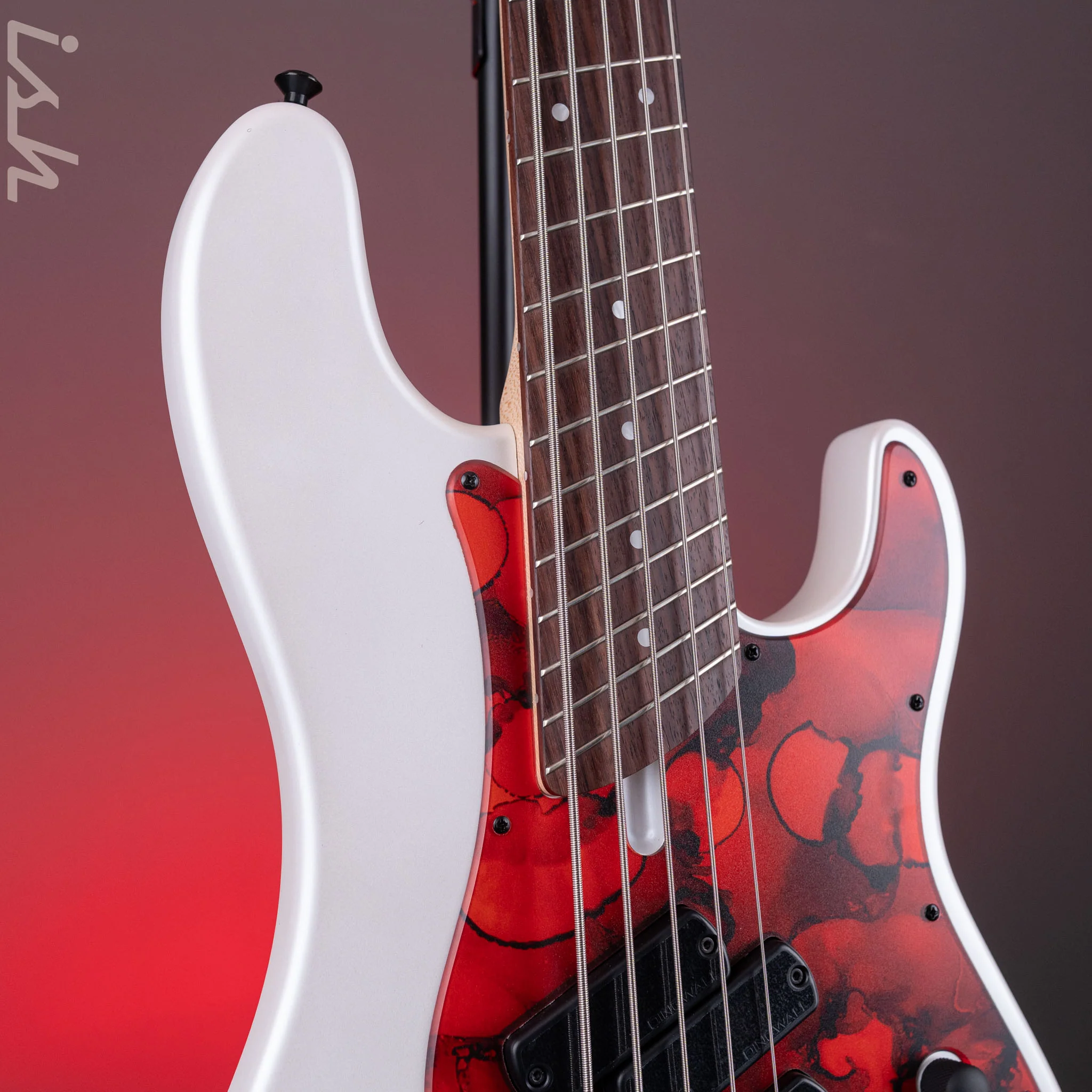 Dingwall SP1 5-String Bass Matte Ducati Pearl White - Image 4
