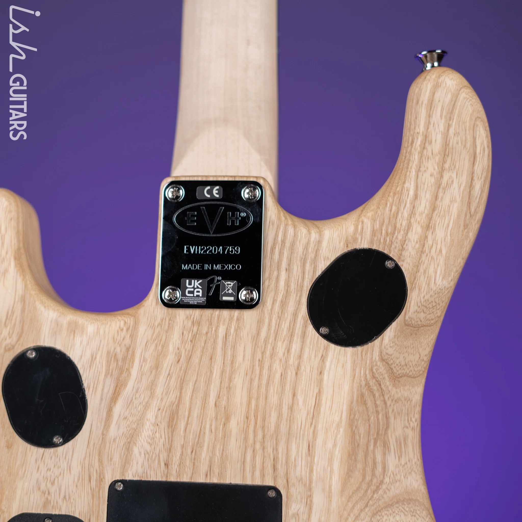 EVH 5150 Limited Edition Deluxe Ash Electric Guitar - Image 8