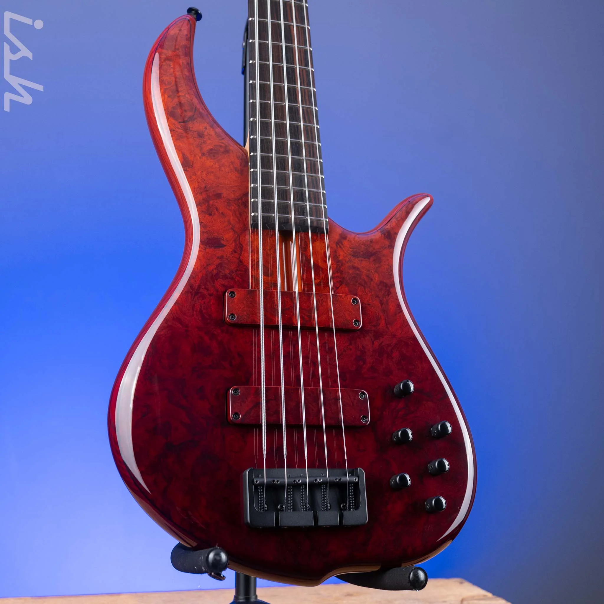 F Bass BN5 Burled Maple Dark Auburn Fade