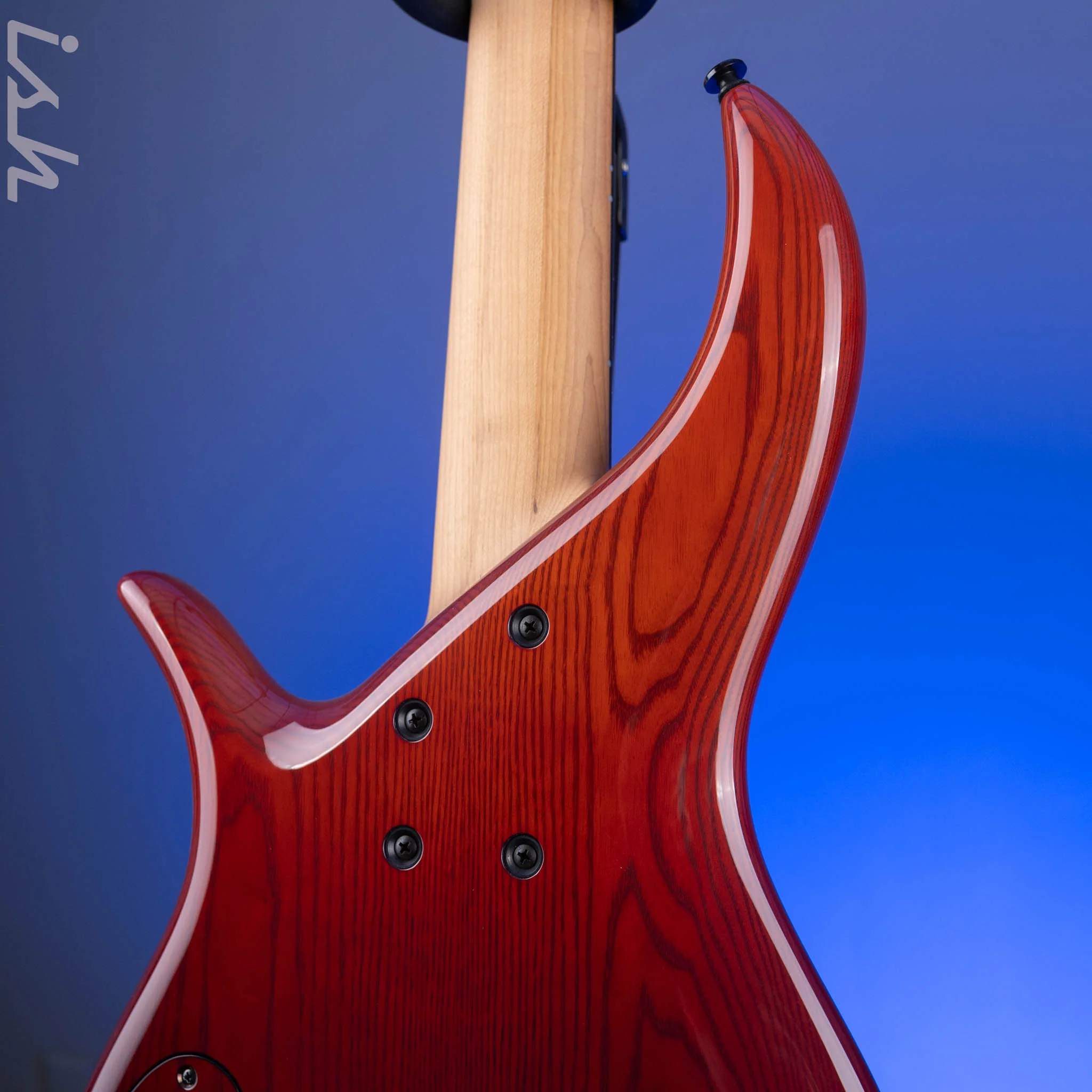 F Bass BN5 Burled Maple Dark Auburn Fade - Image 8