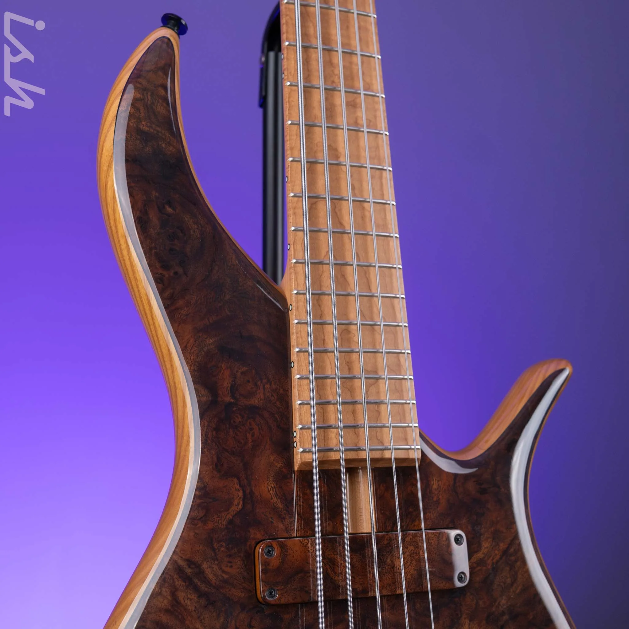 F Bass BN5 Burled Walnut - Image 3