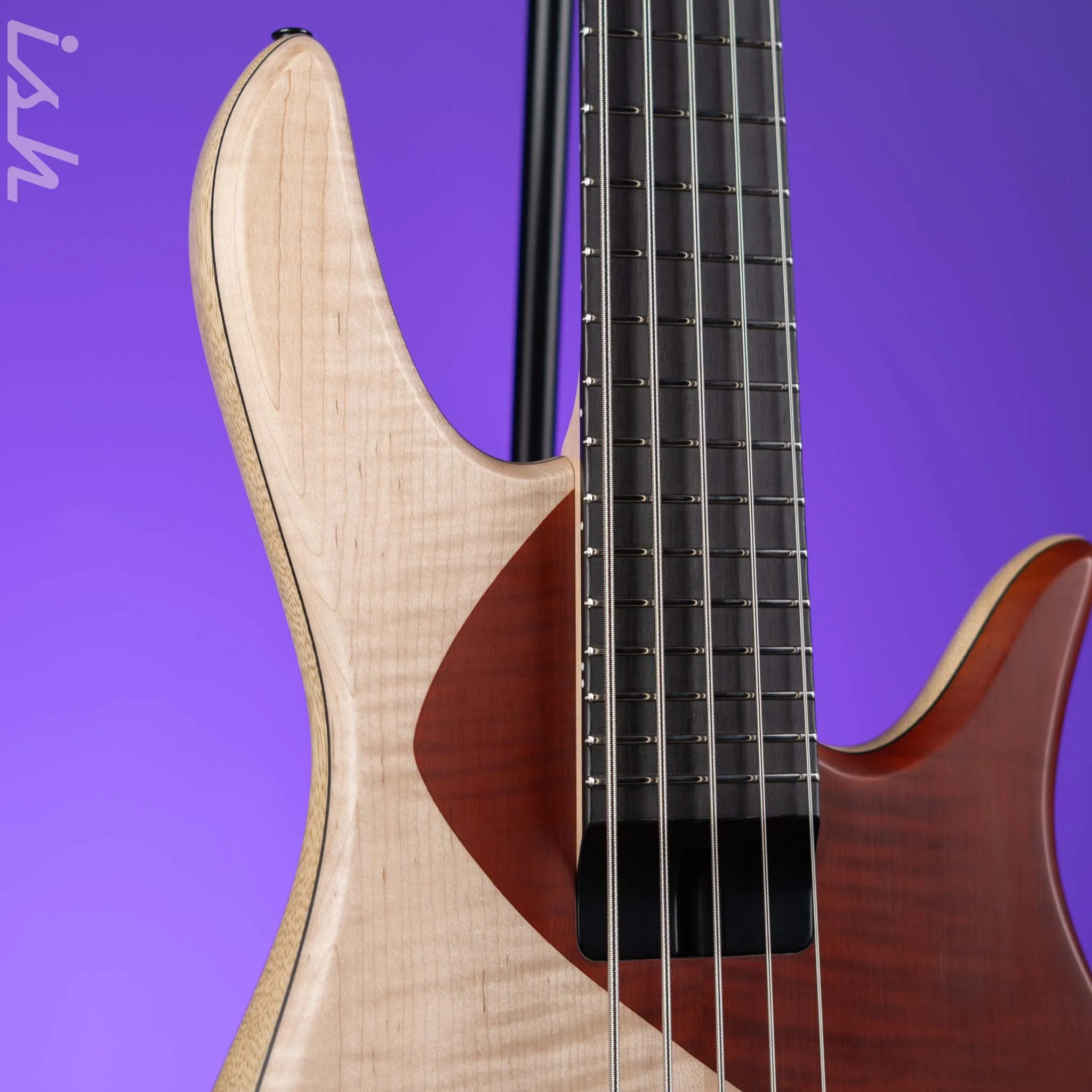 Fodera Martinie "Blondie" Standard 5-String Bass - Image 3