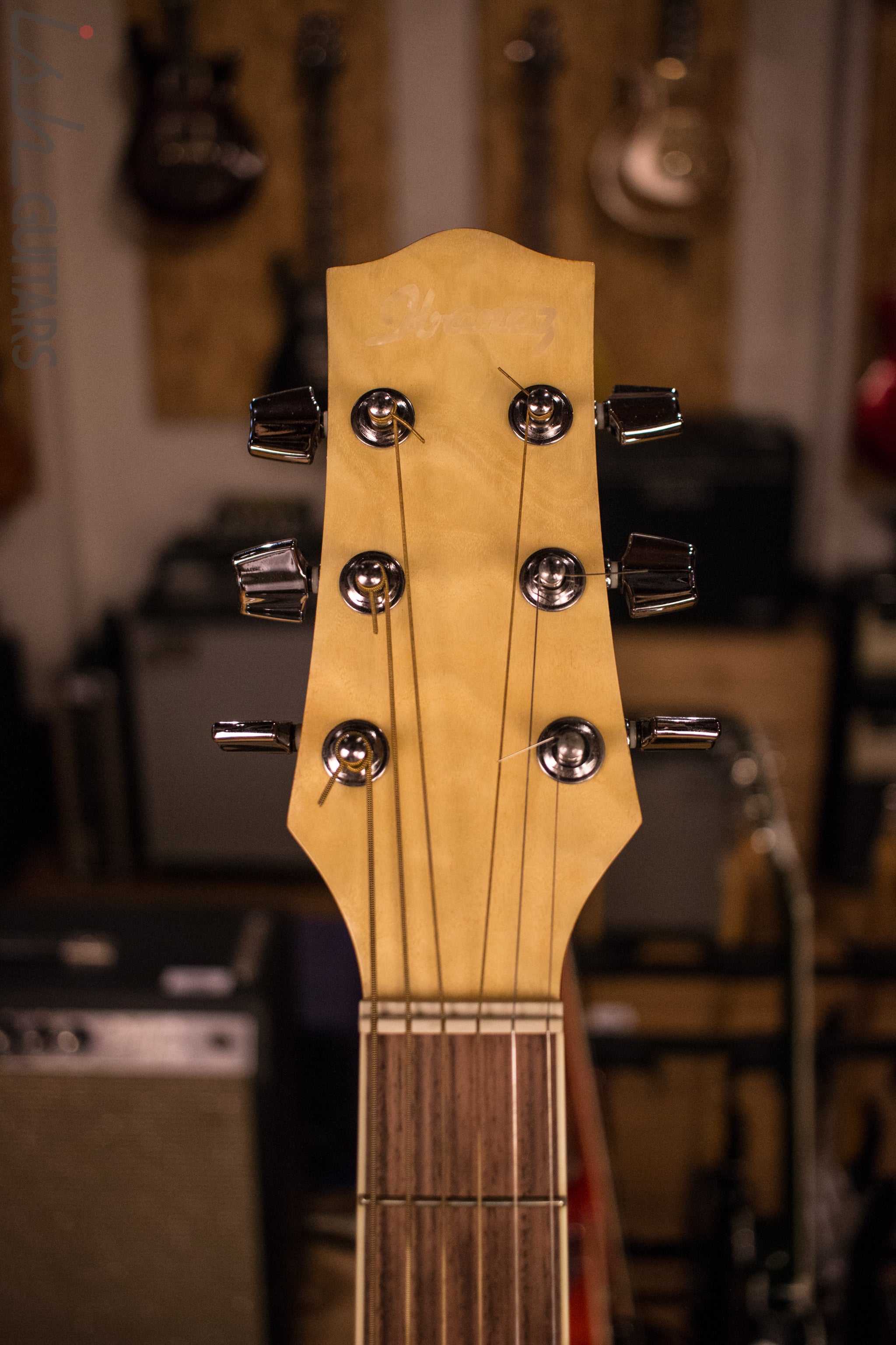 Ibanez Acoustic - Image 6