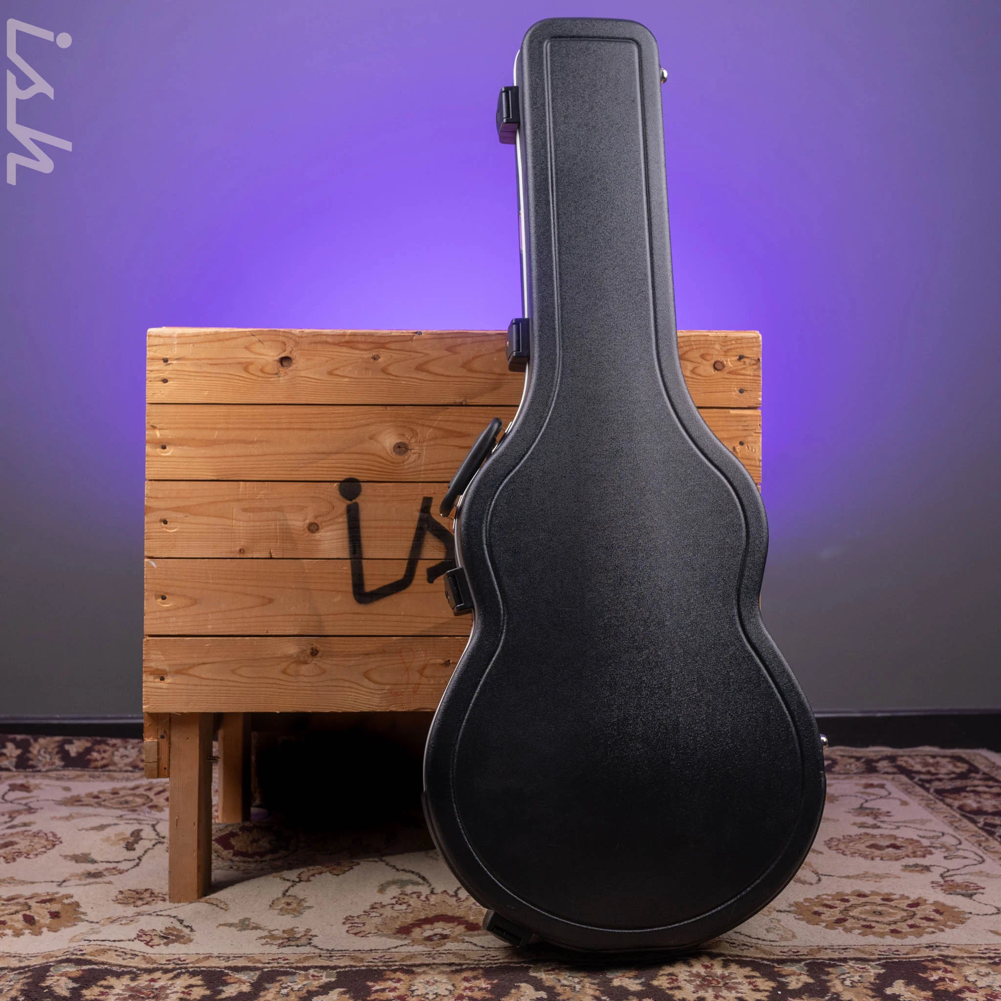 Ibanez MS100C Hollowbody Hardshell Guitar Case