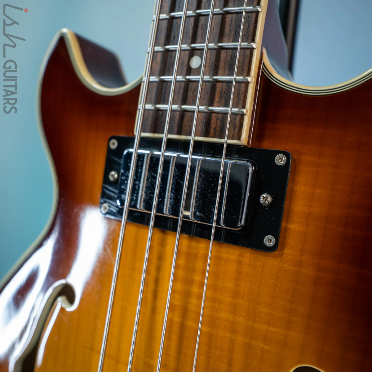 Jay Turser Semi-Hollow Bass Sunburst - Image 8
