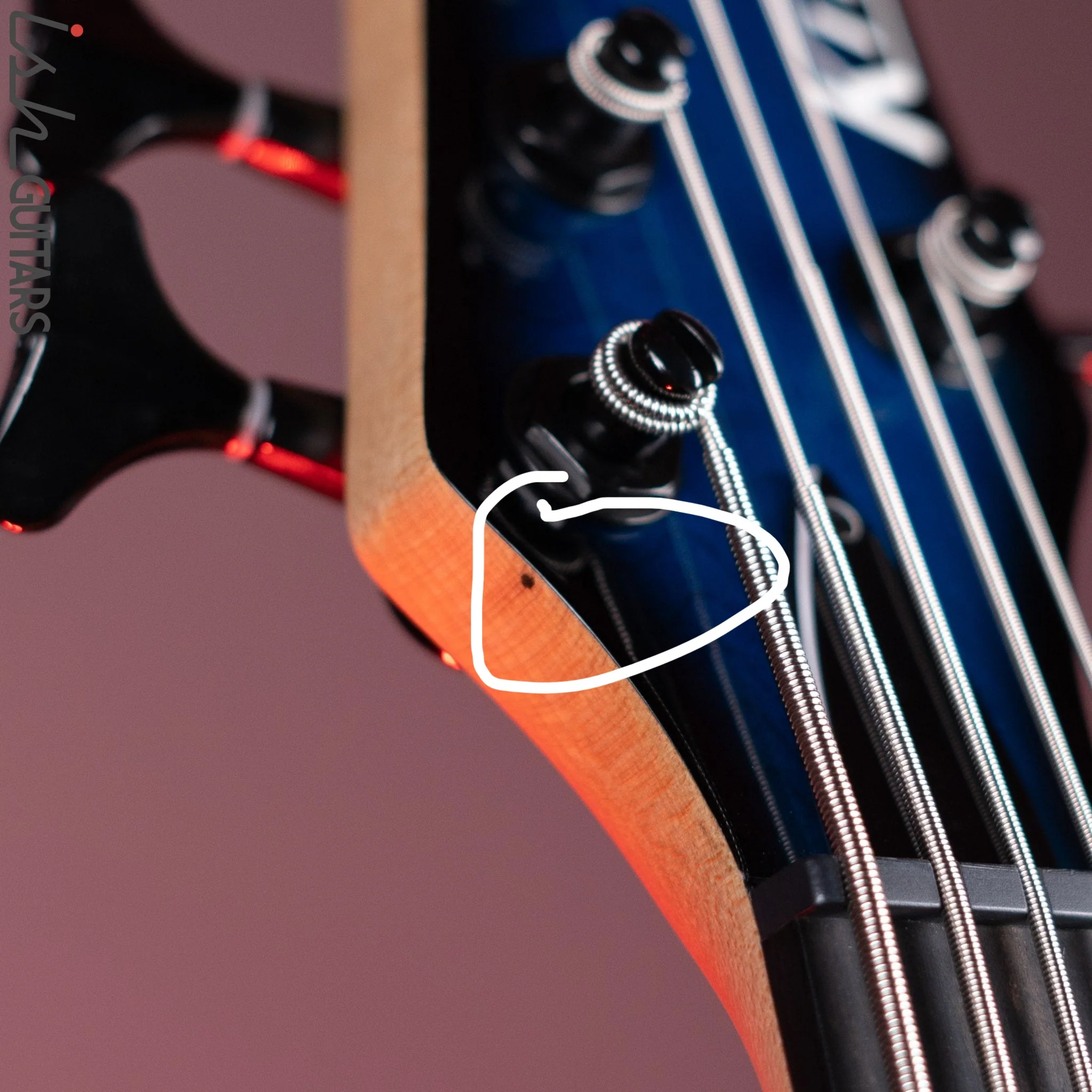 Kiesel JB-5 5-String Bass Trans Blue - Image 14