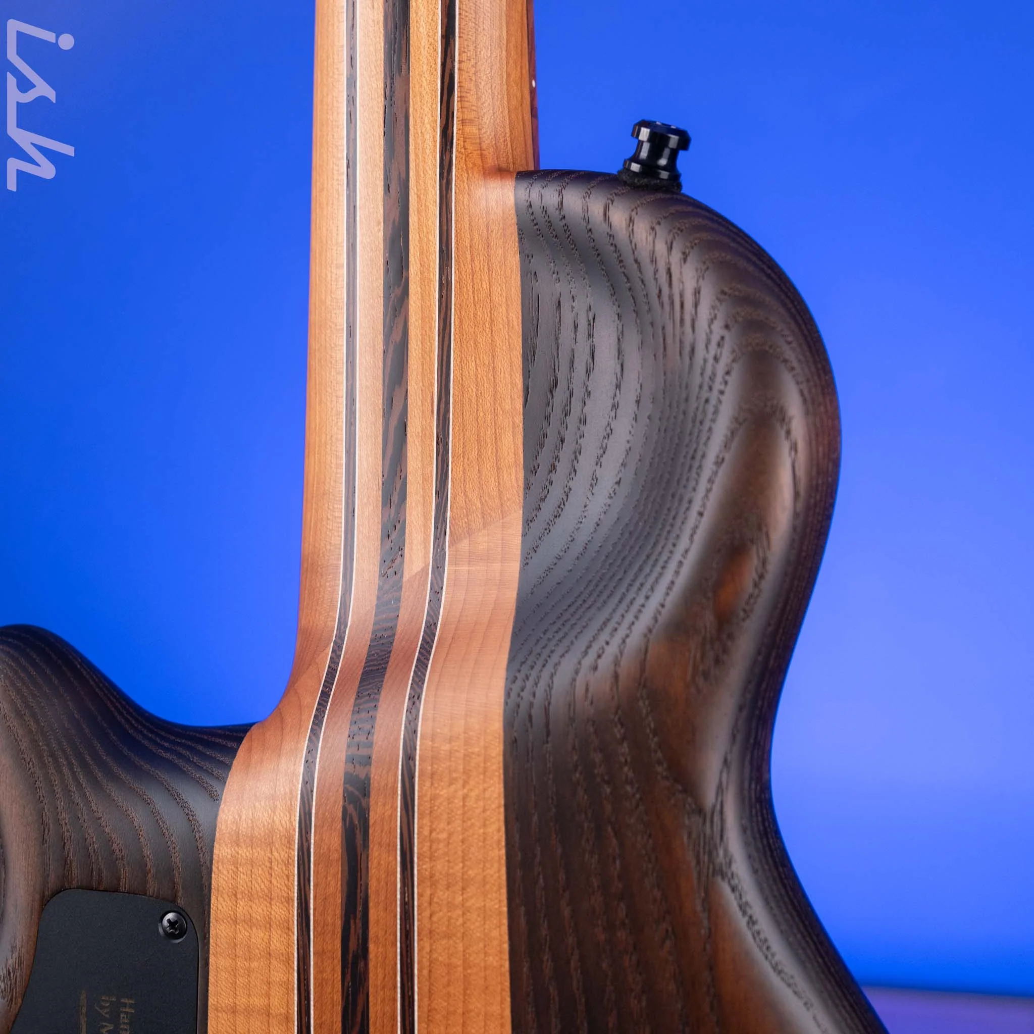 Mayones Cali 4 Mini Bass Eye Poplar - Image 9