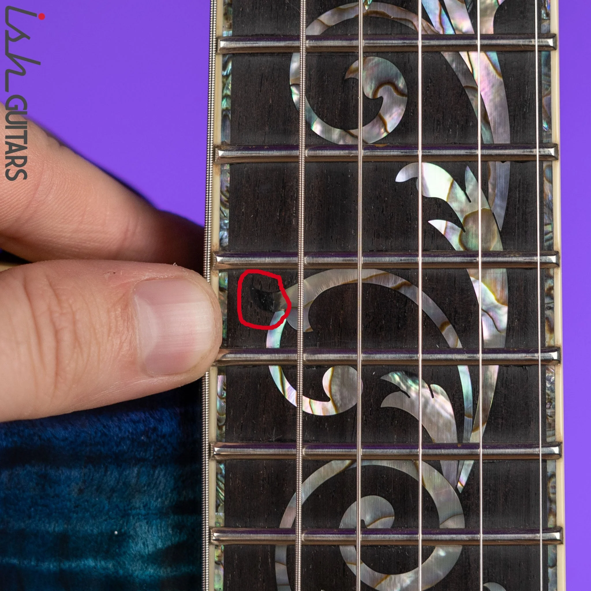 McInturff Tree Of Life Blue/Purple Burst - Image 8
